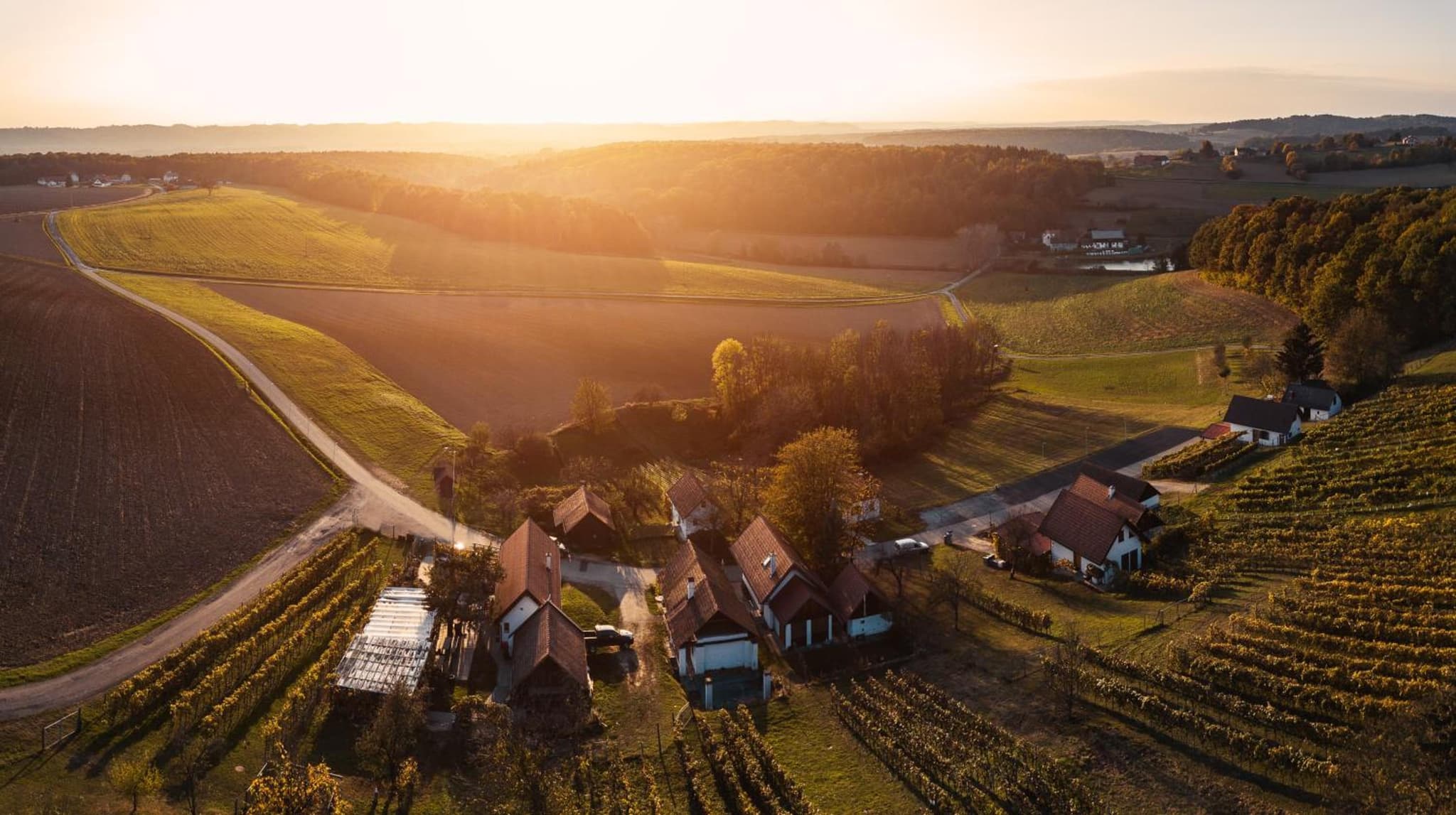 Kellerstöckl Knusperhäuschen photo 4