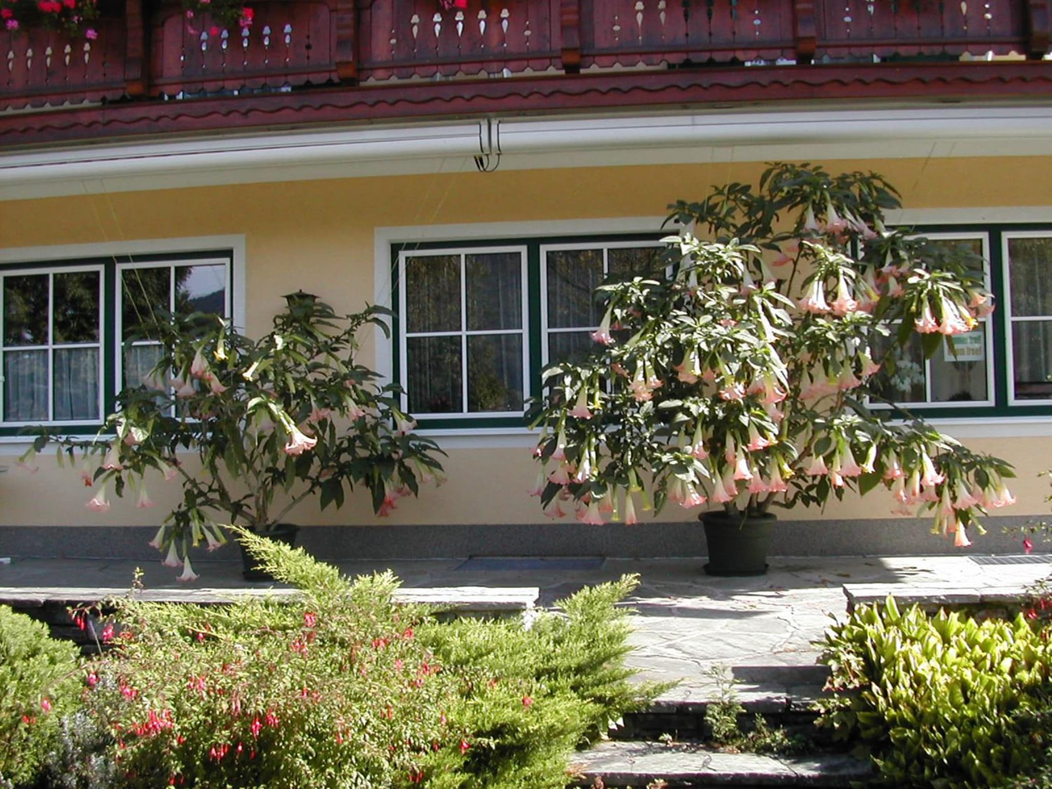 Pension Salzburger Hof photo 3