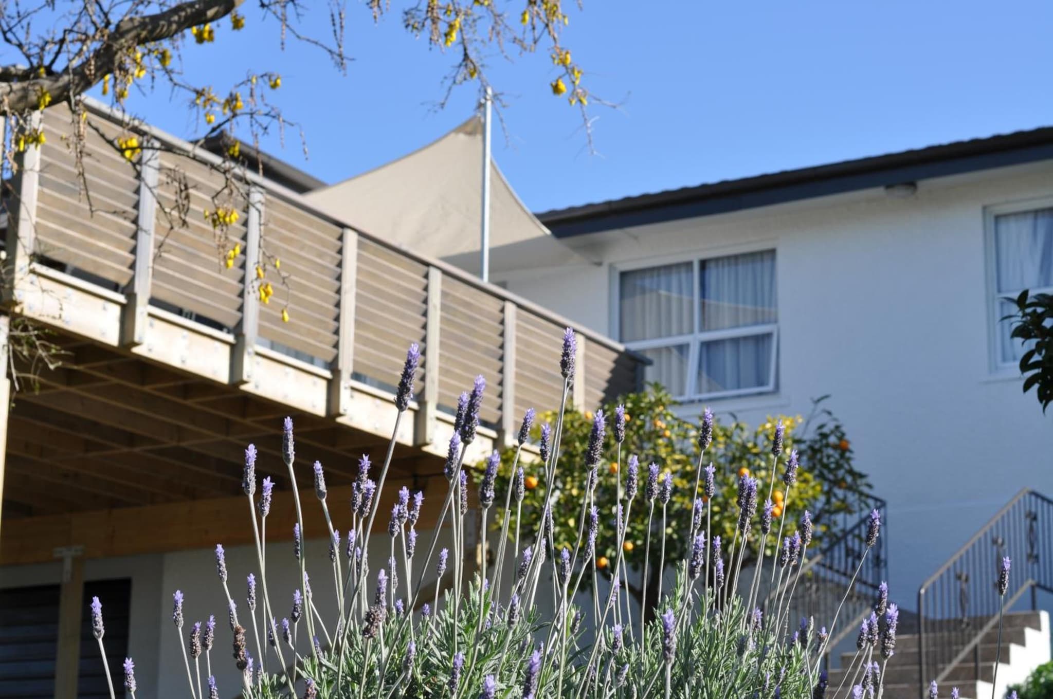16 Havelock photo 6