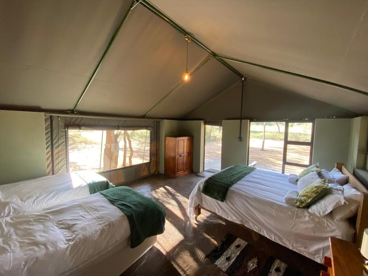 Limpopo Bushveld Retreat photo 3
