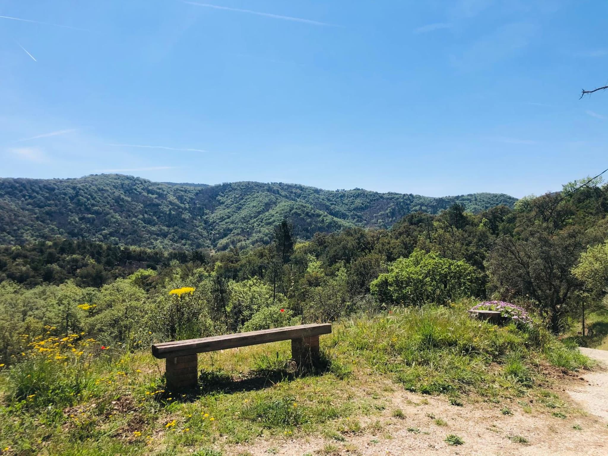 Le Cabanon photo 8