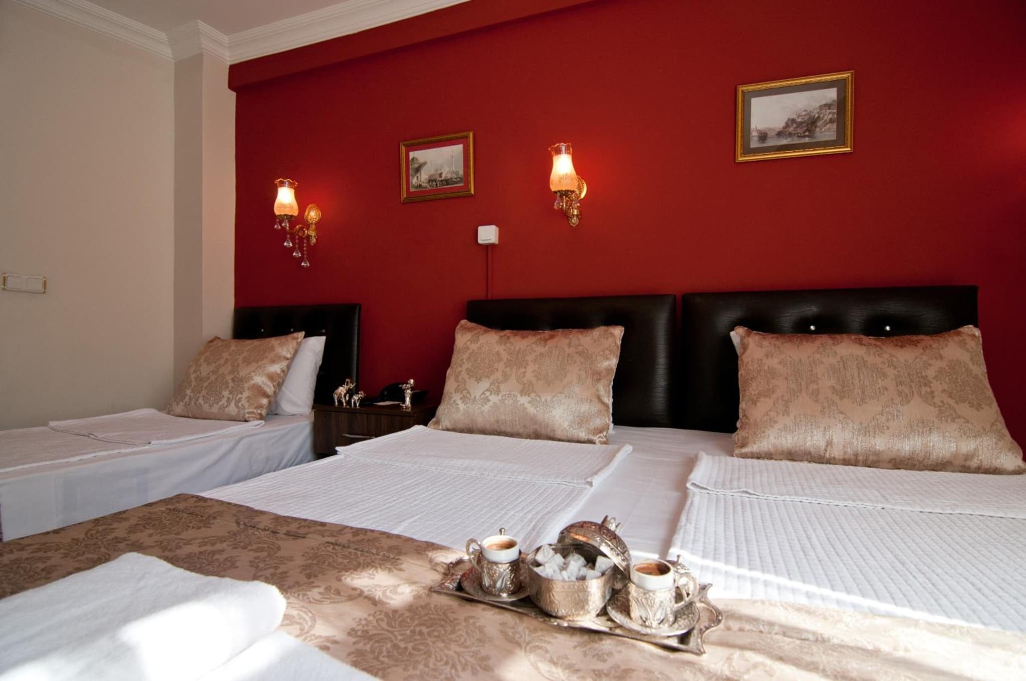 Magnificent Hotel photo 2