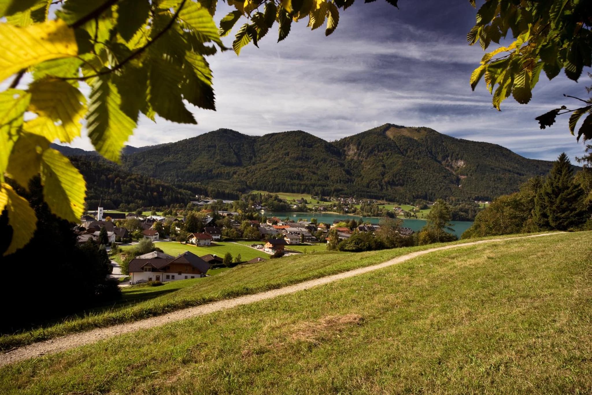 Pension Salzburger Hof photo 8