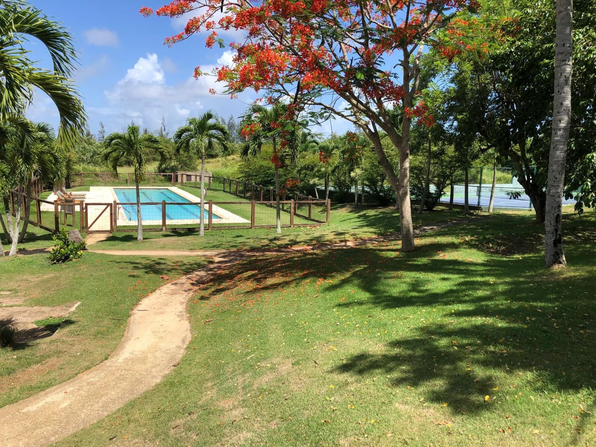 Royal Isabela photo 3
