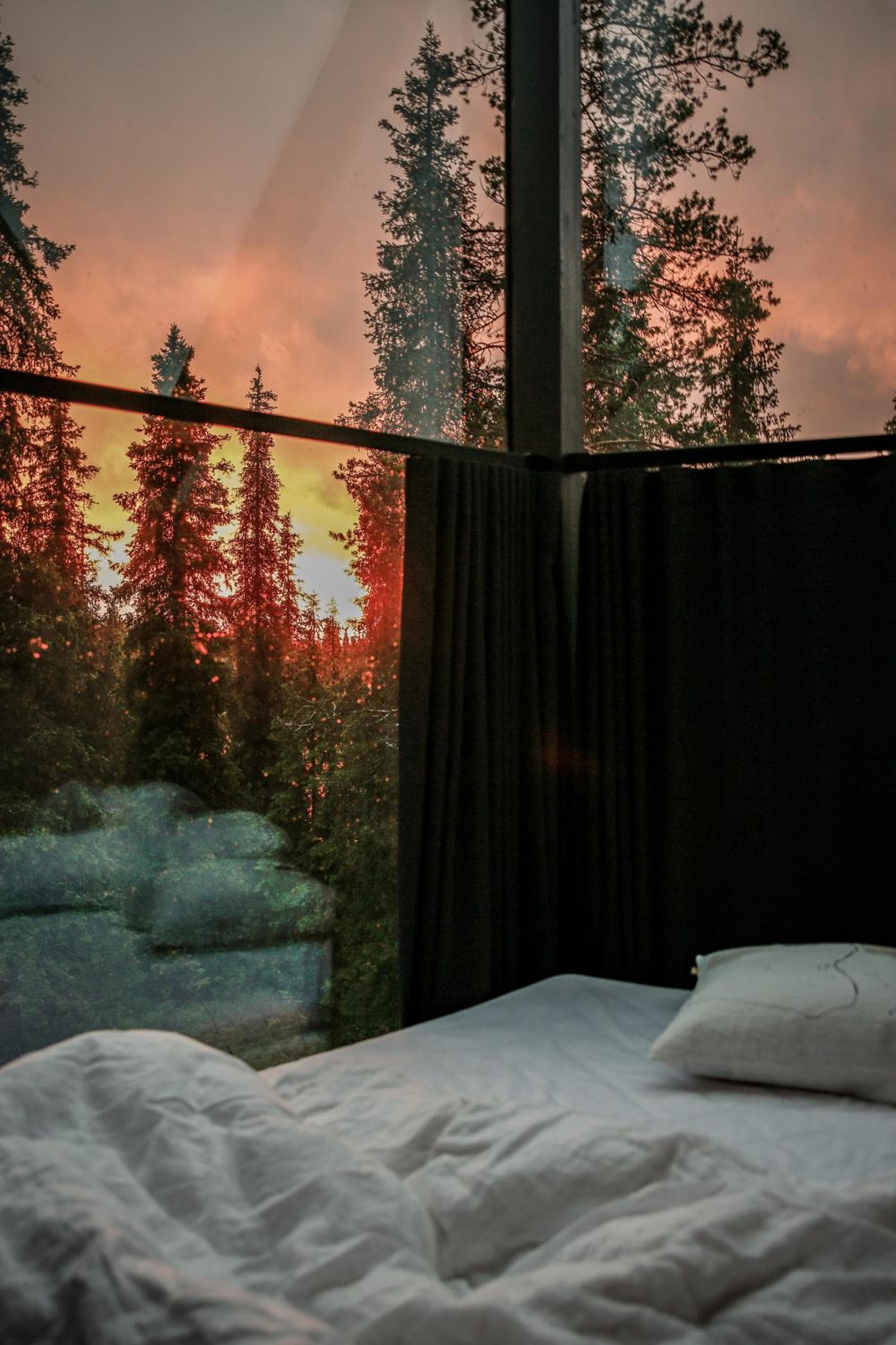 Magical Pond Nature Igloos photo 2