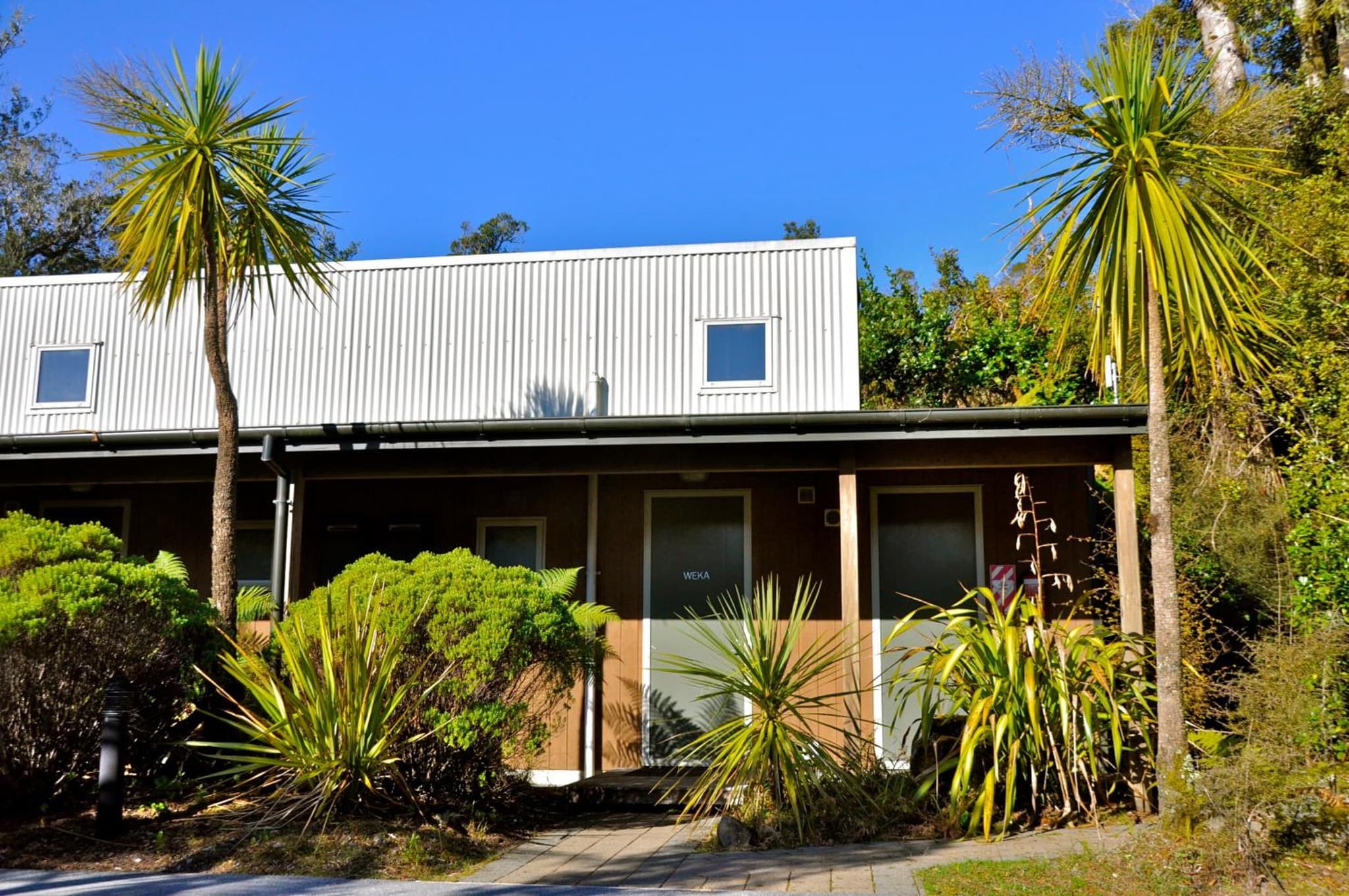Punga Grove photo 2