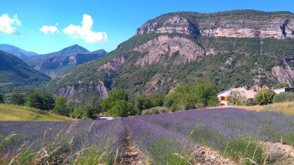 Entre Terre et Ciel photo 2