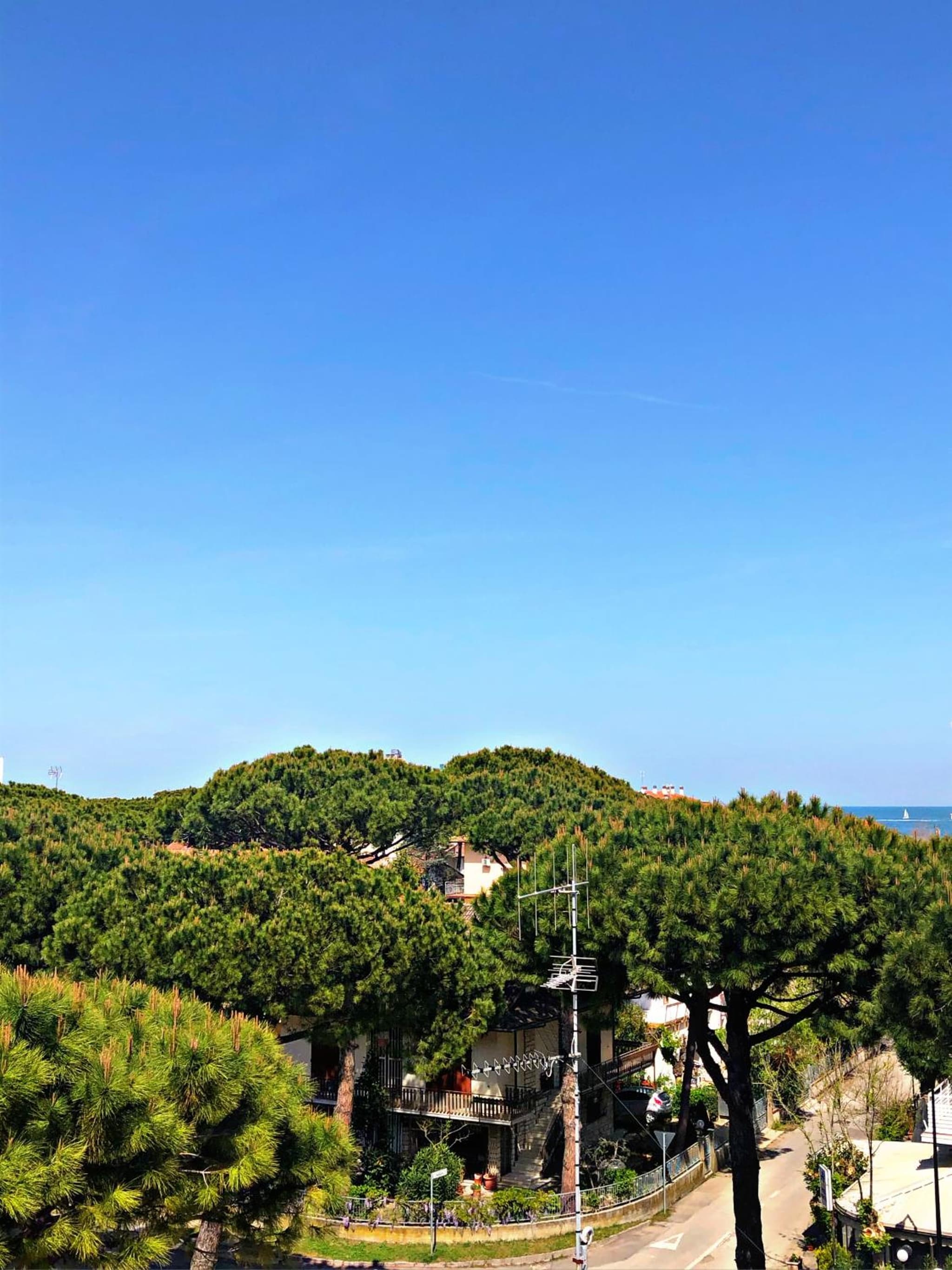 Hotel del Falco photo 4