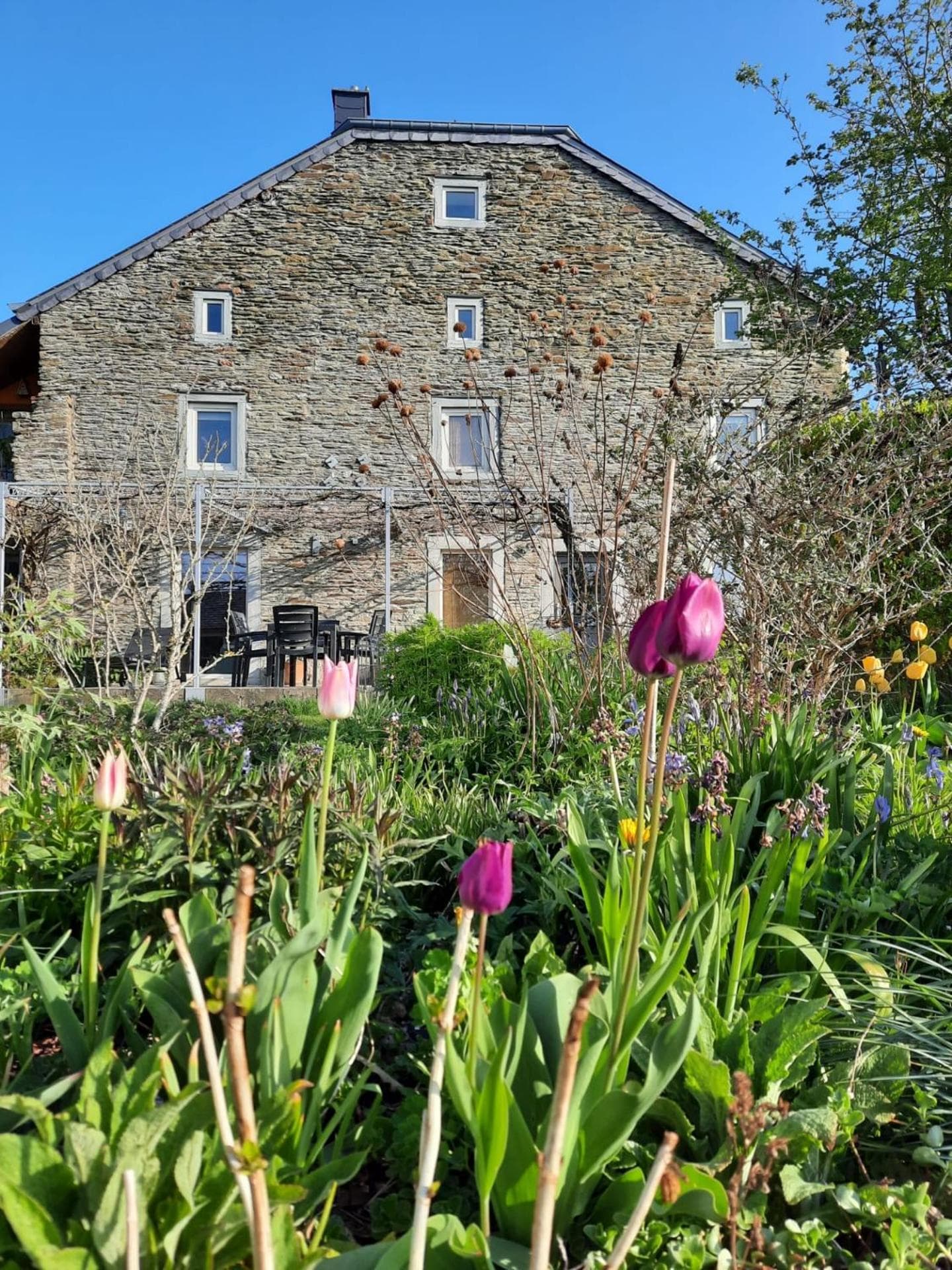 La Vieille Forge B&B photo 9