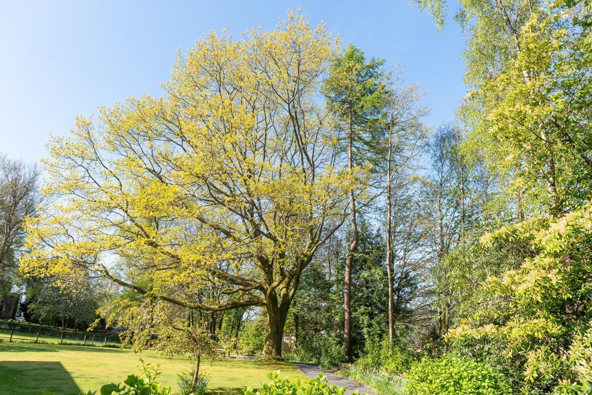 Windermere Manor Hotel photo 5