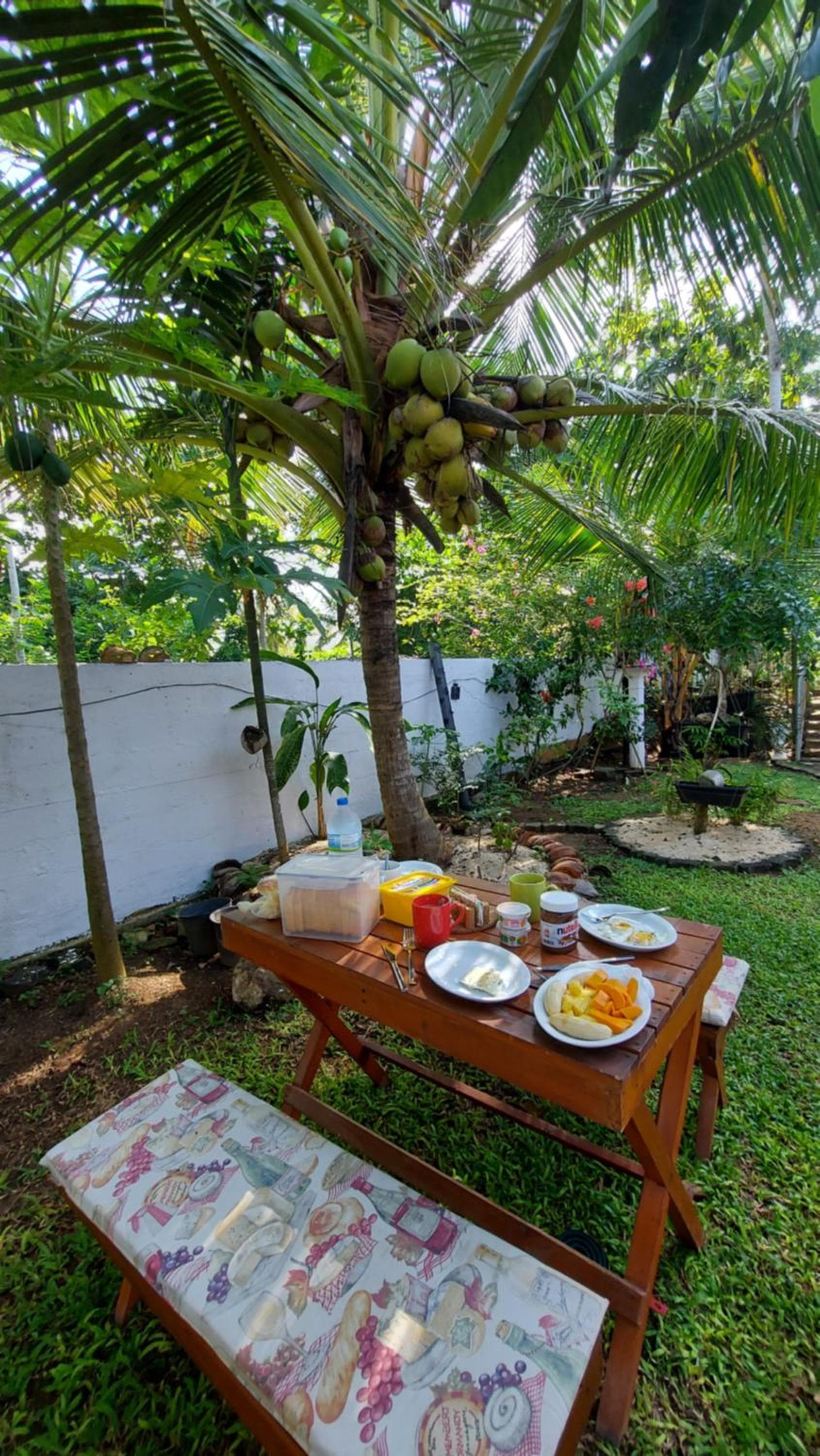 Wine Tree Garden Guesthouse photo 9