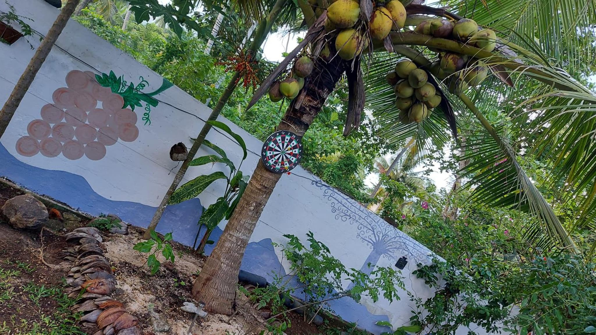 Wine Tree Garden Guesthouse photo 8