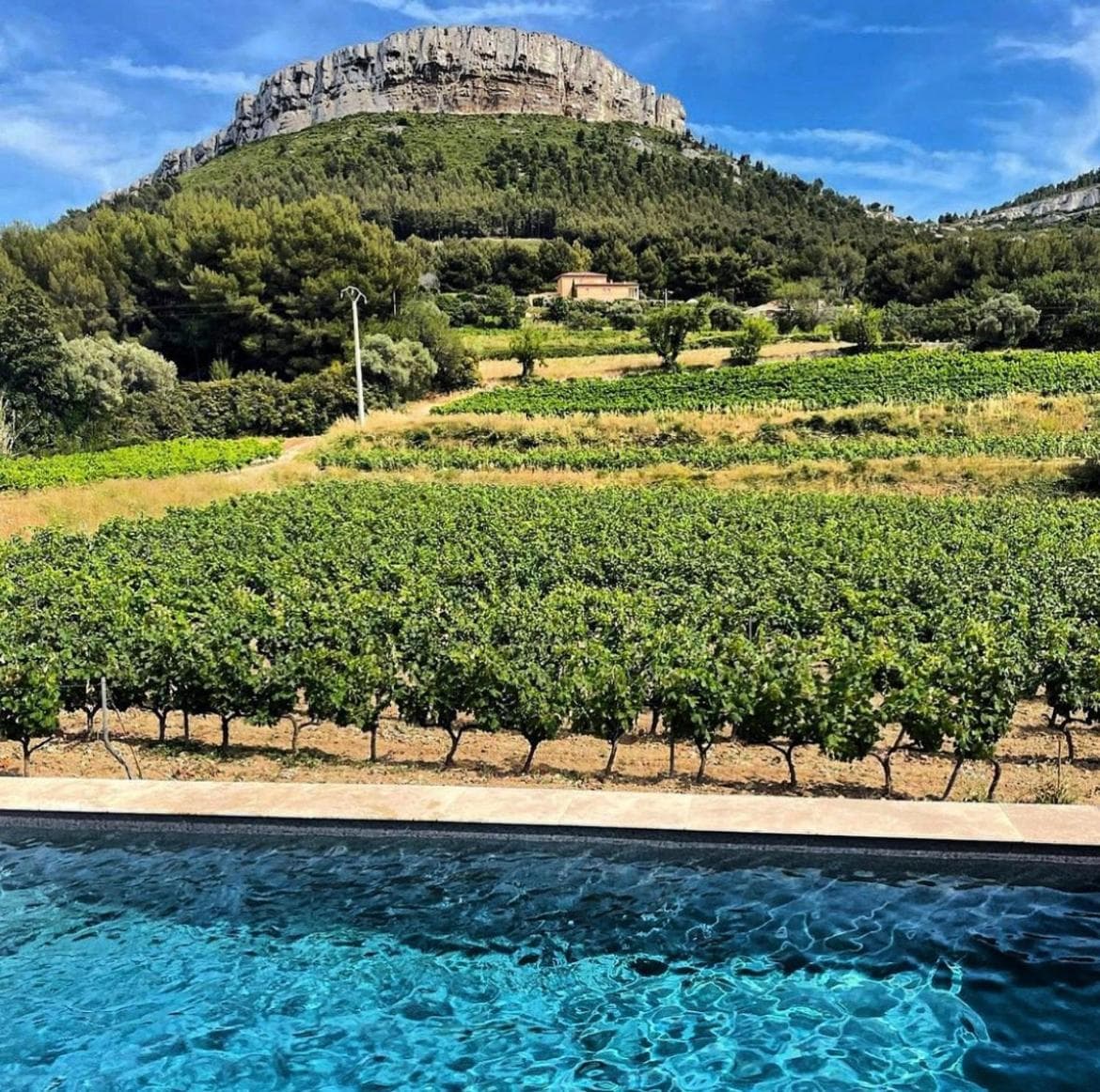 Côté vignes cassis photo 4