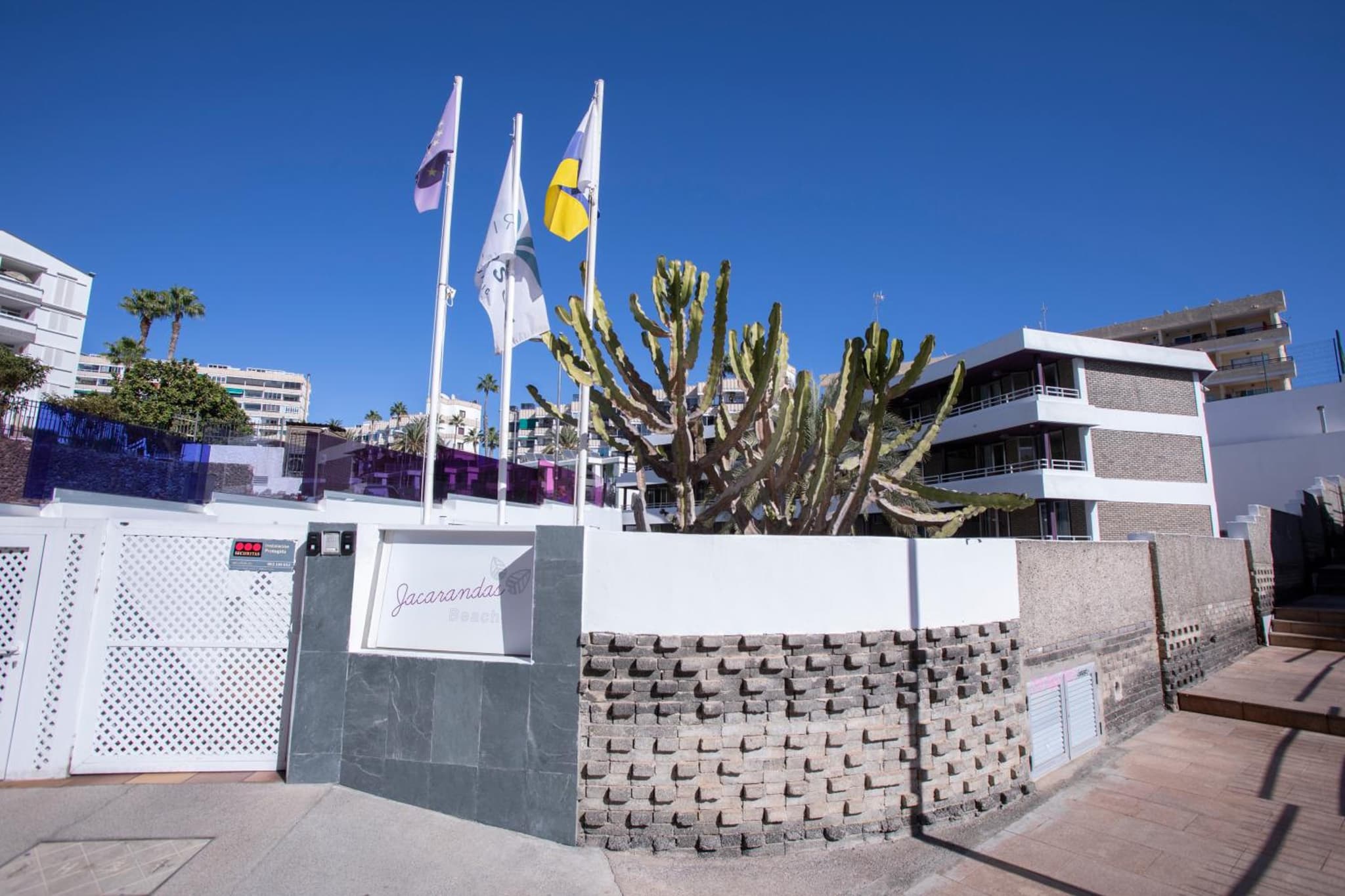 Jacarandas Beach photo 8