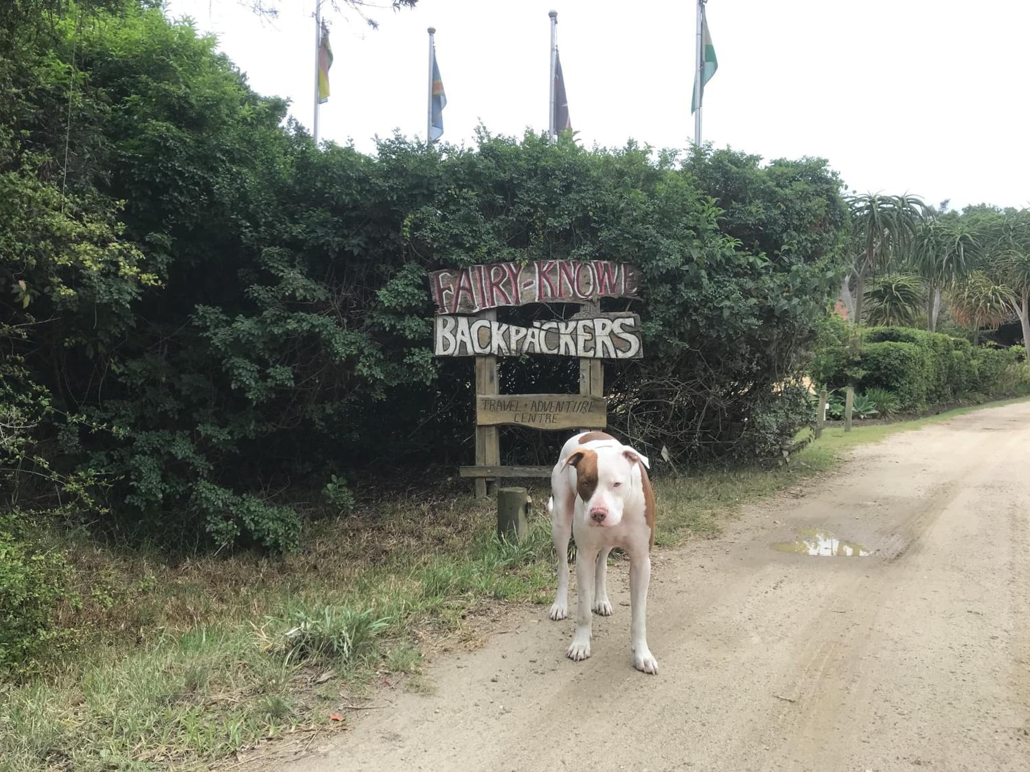 Fairy Knowe Backpackers Lodge photo 5