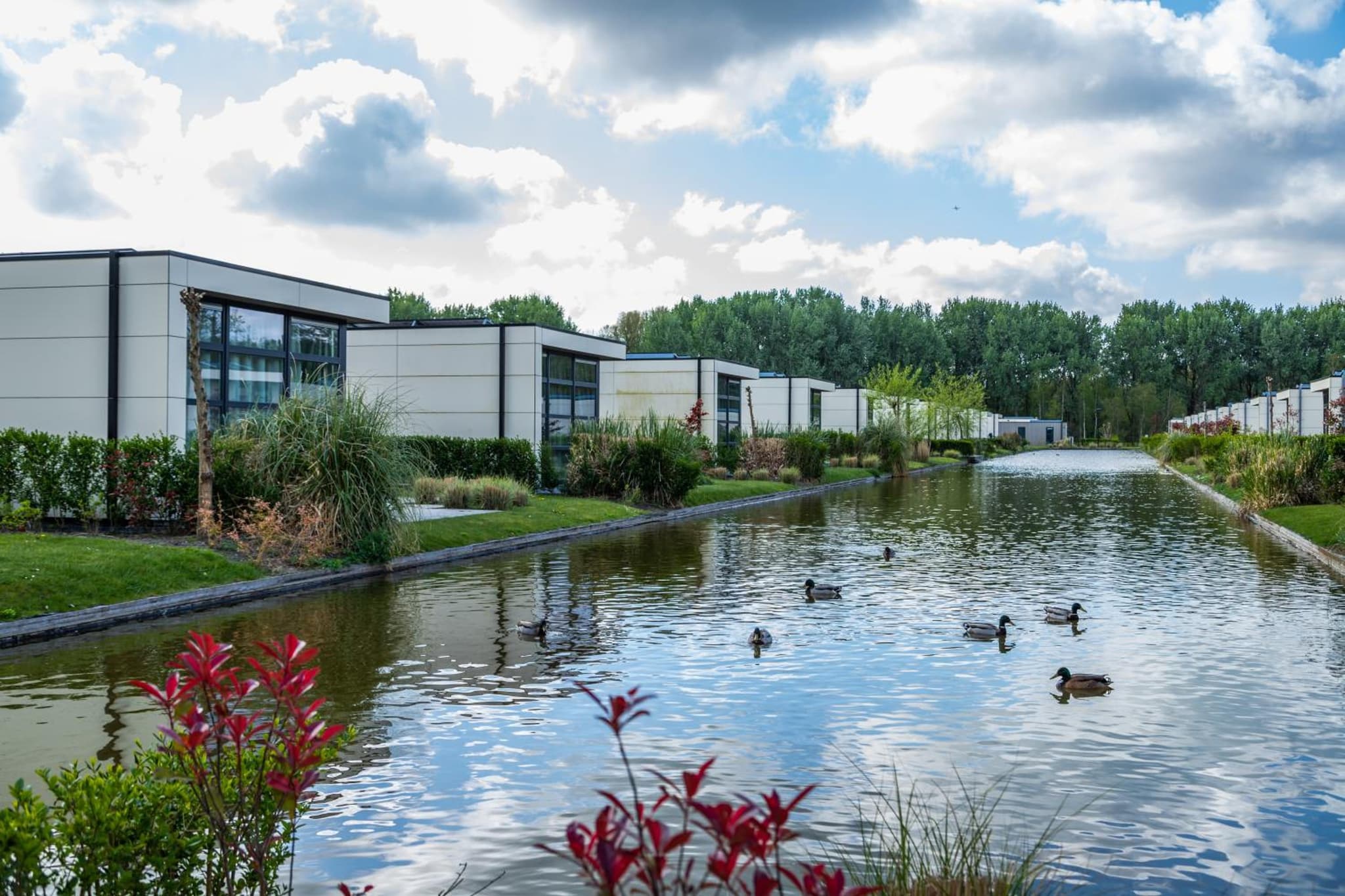 EuroParcs Buitenhuizen photo 7