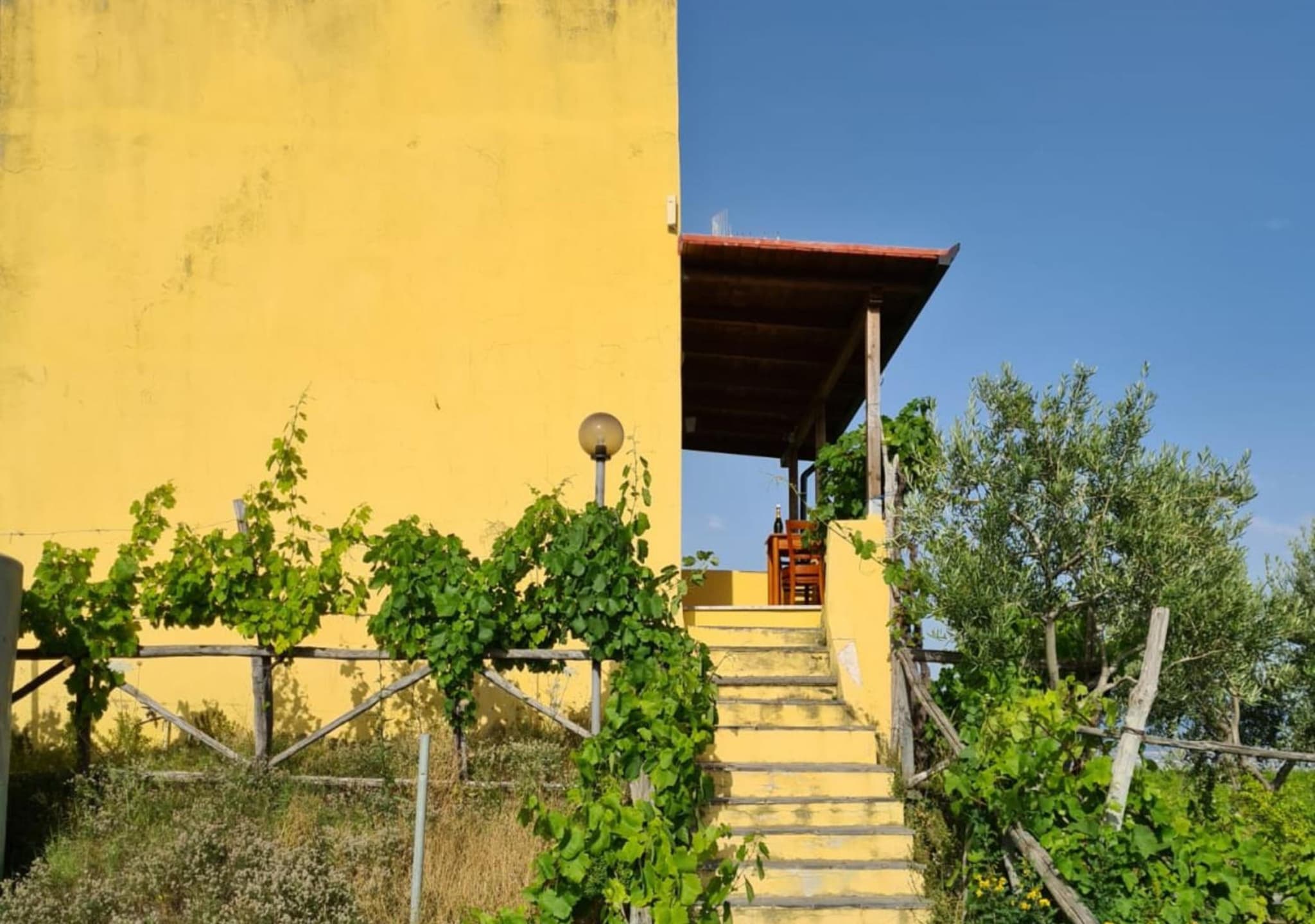 Vesuvio Inn Guest House e Wine Experience photo 6