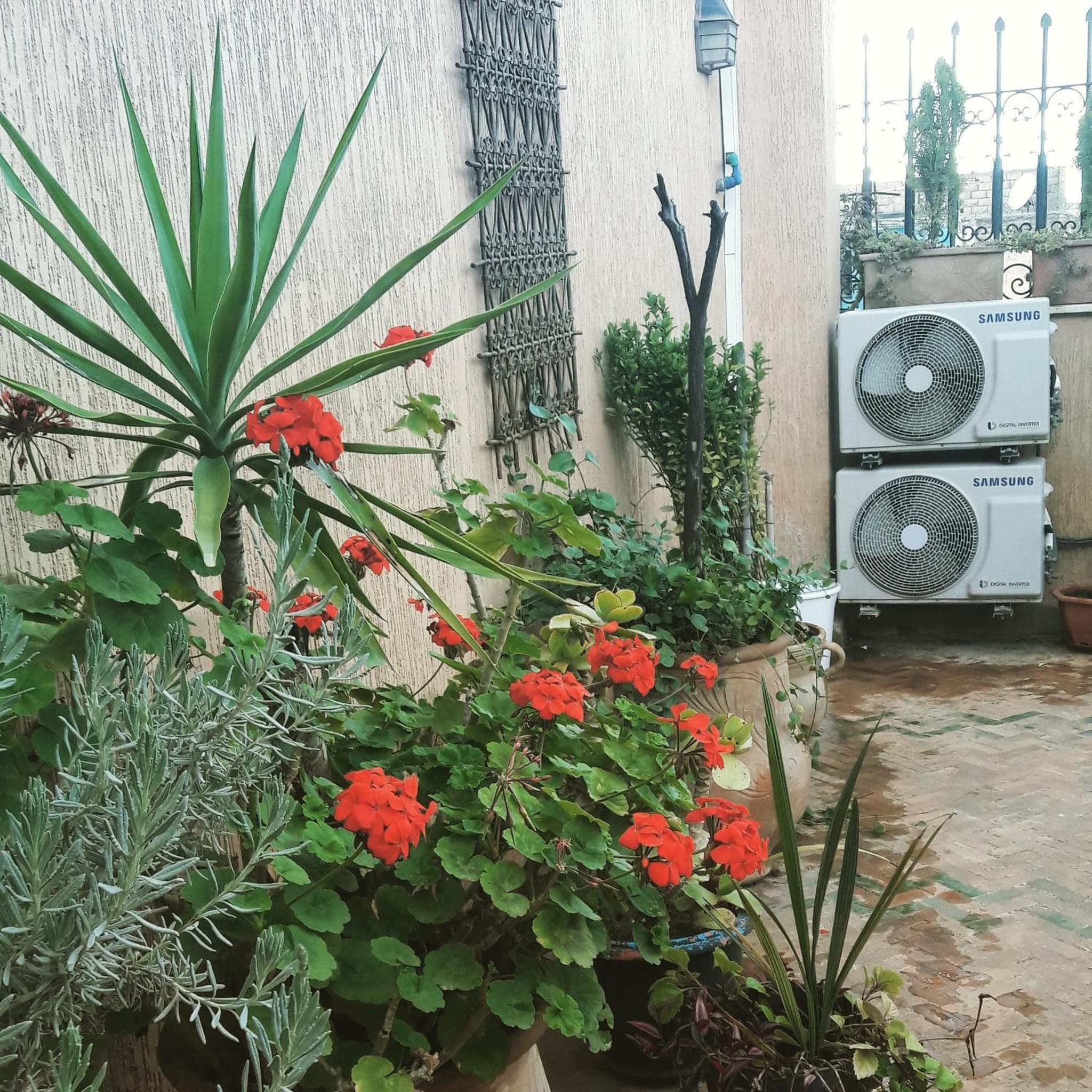 Dar Pa Labzioui photo 7