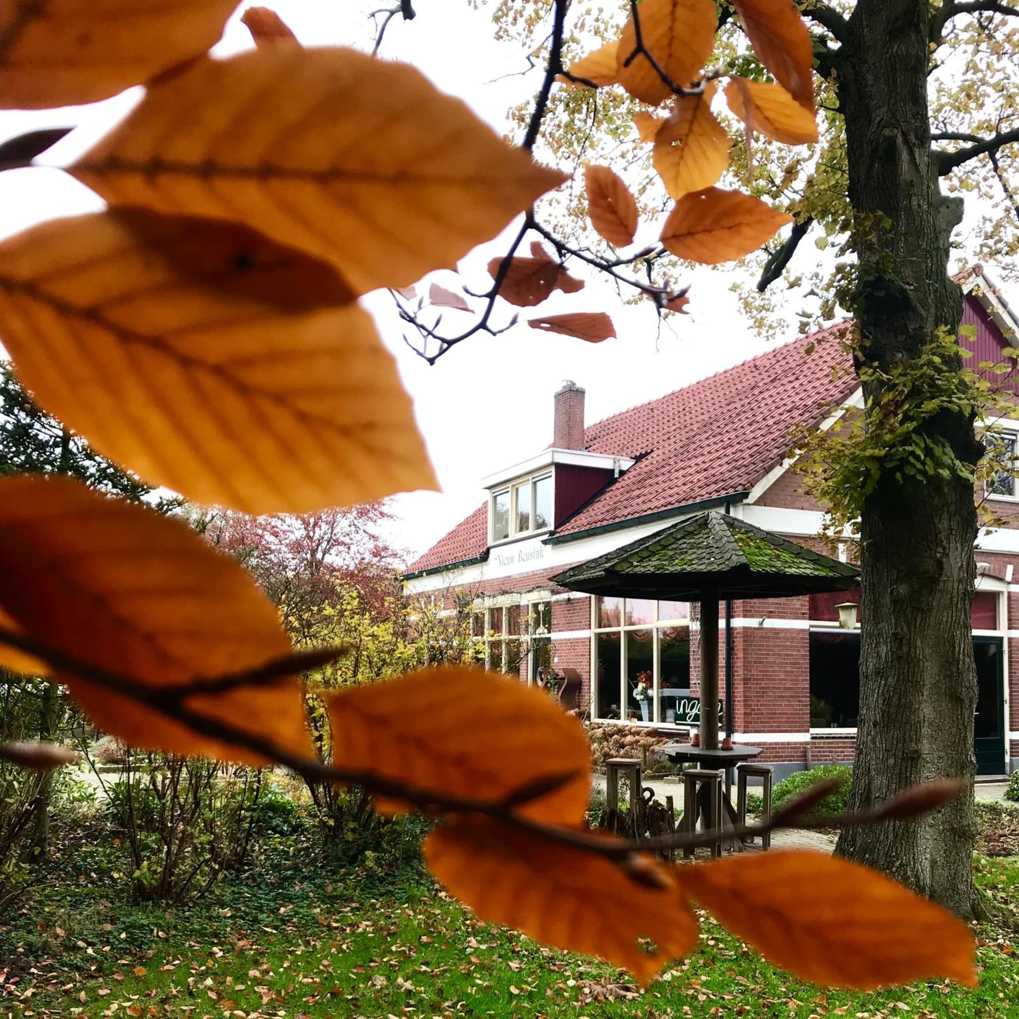 Boutique Hotel Nieuw Beusink photo 4