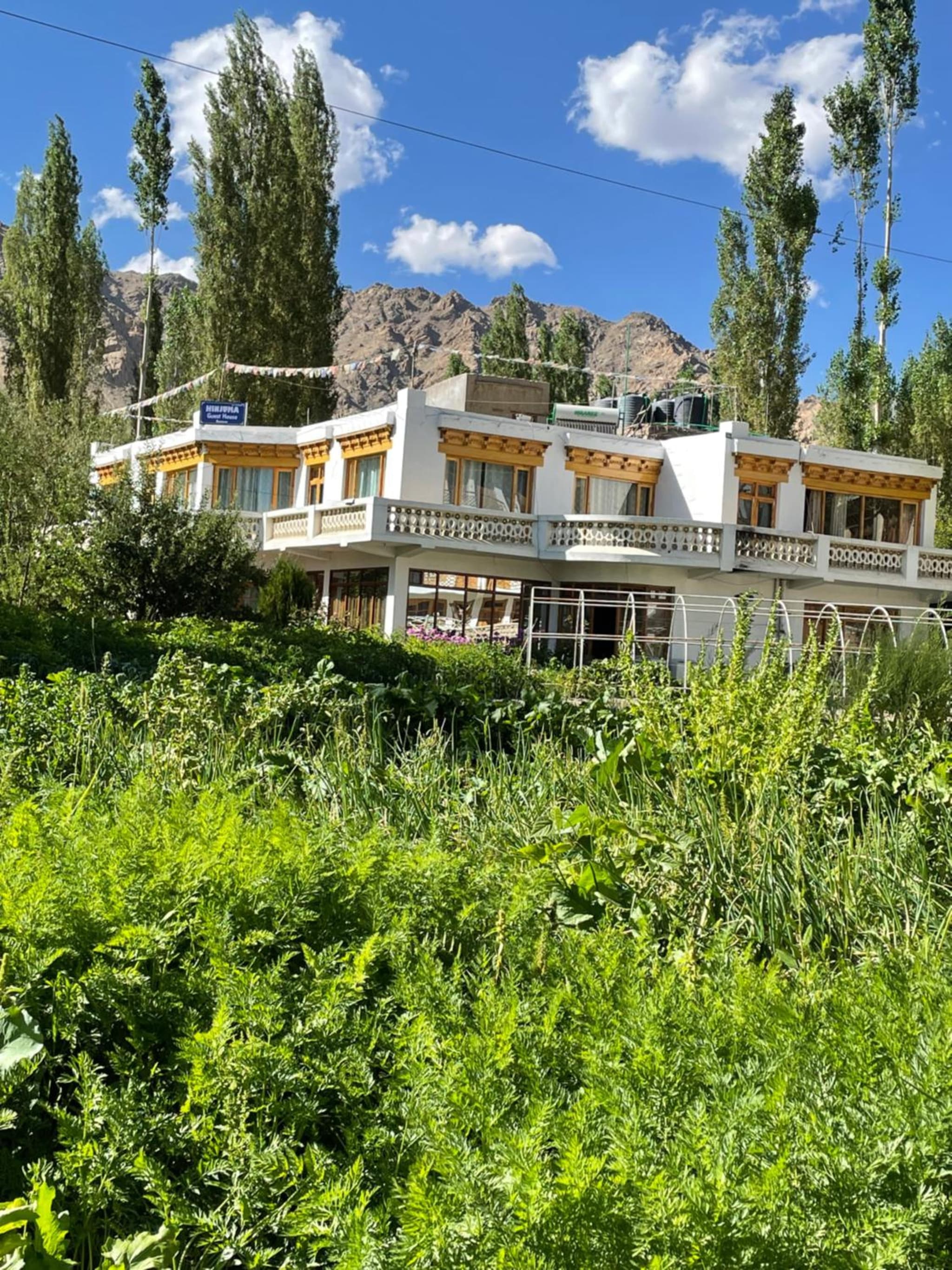 Hinjuma guest house