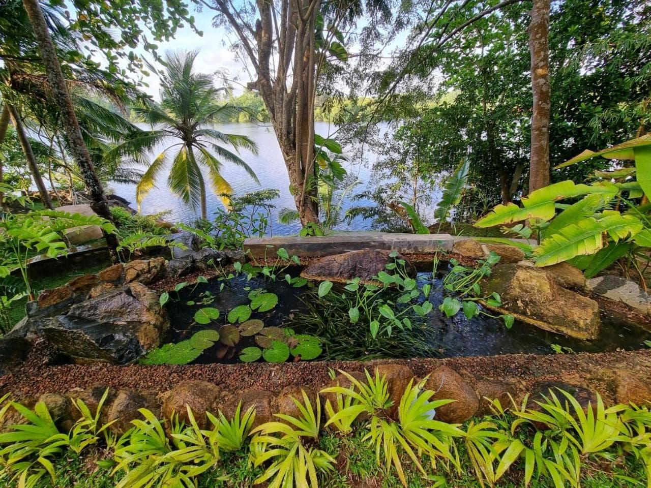 Villa Birdlake photo 8