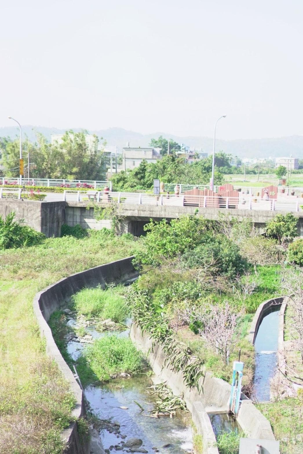 喫茶居 茶蔬食主題民宿 Chih Cha Jyu photo 7