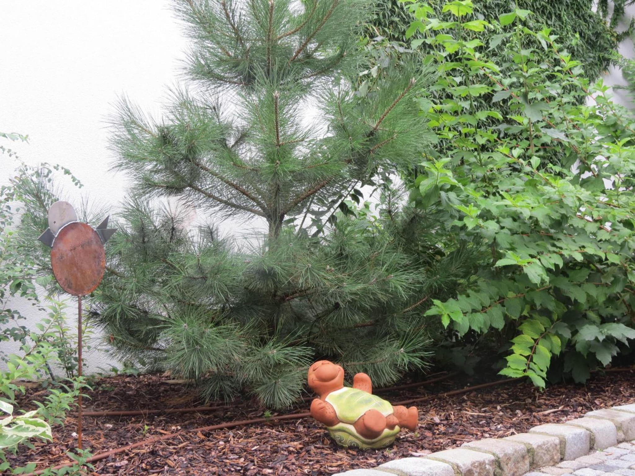 Gartenpension Fischl photo 2