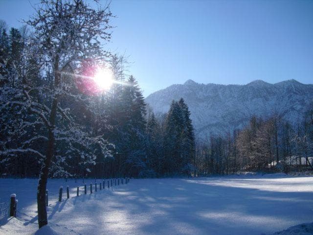 Pension Leprich photo 8