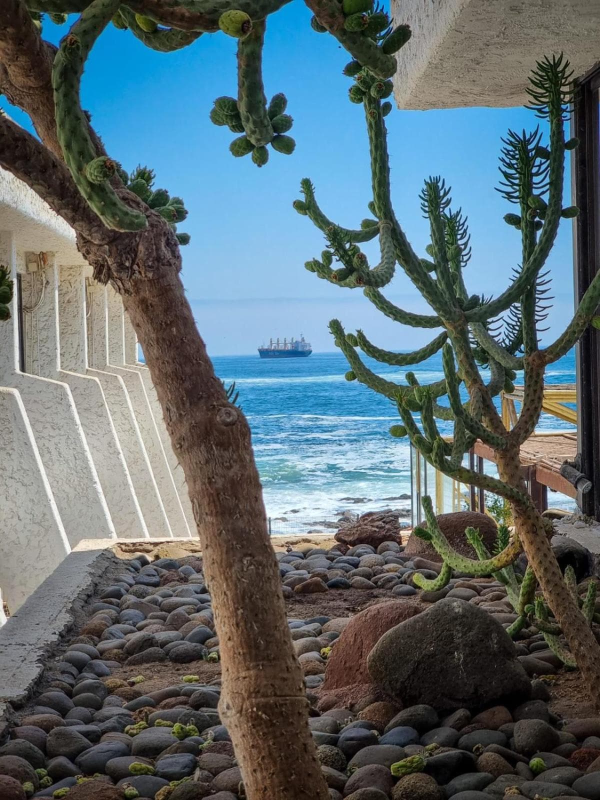 Hotel Arica photo 6