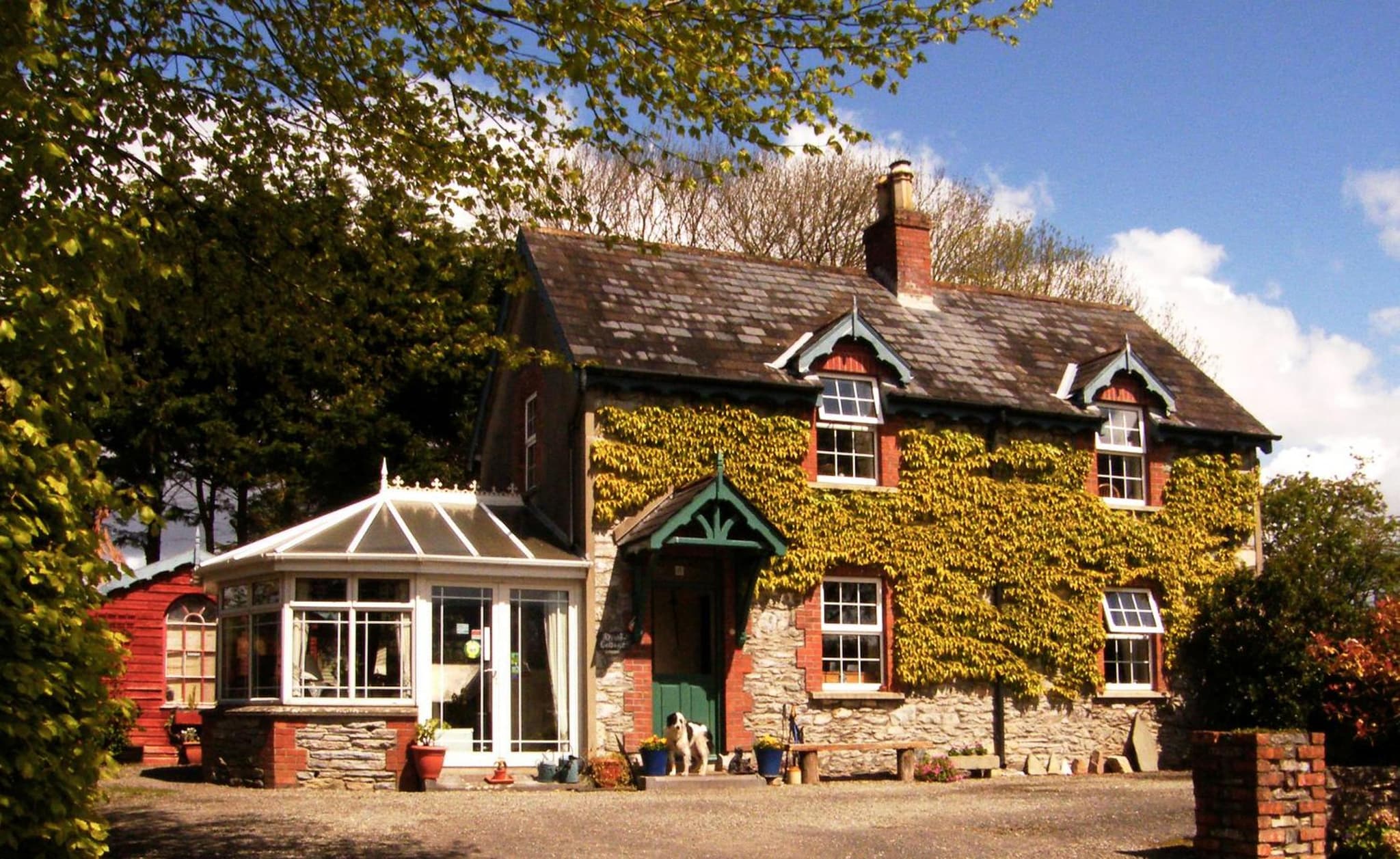 Druid Cottage photo 2