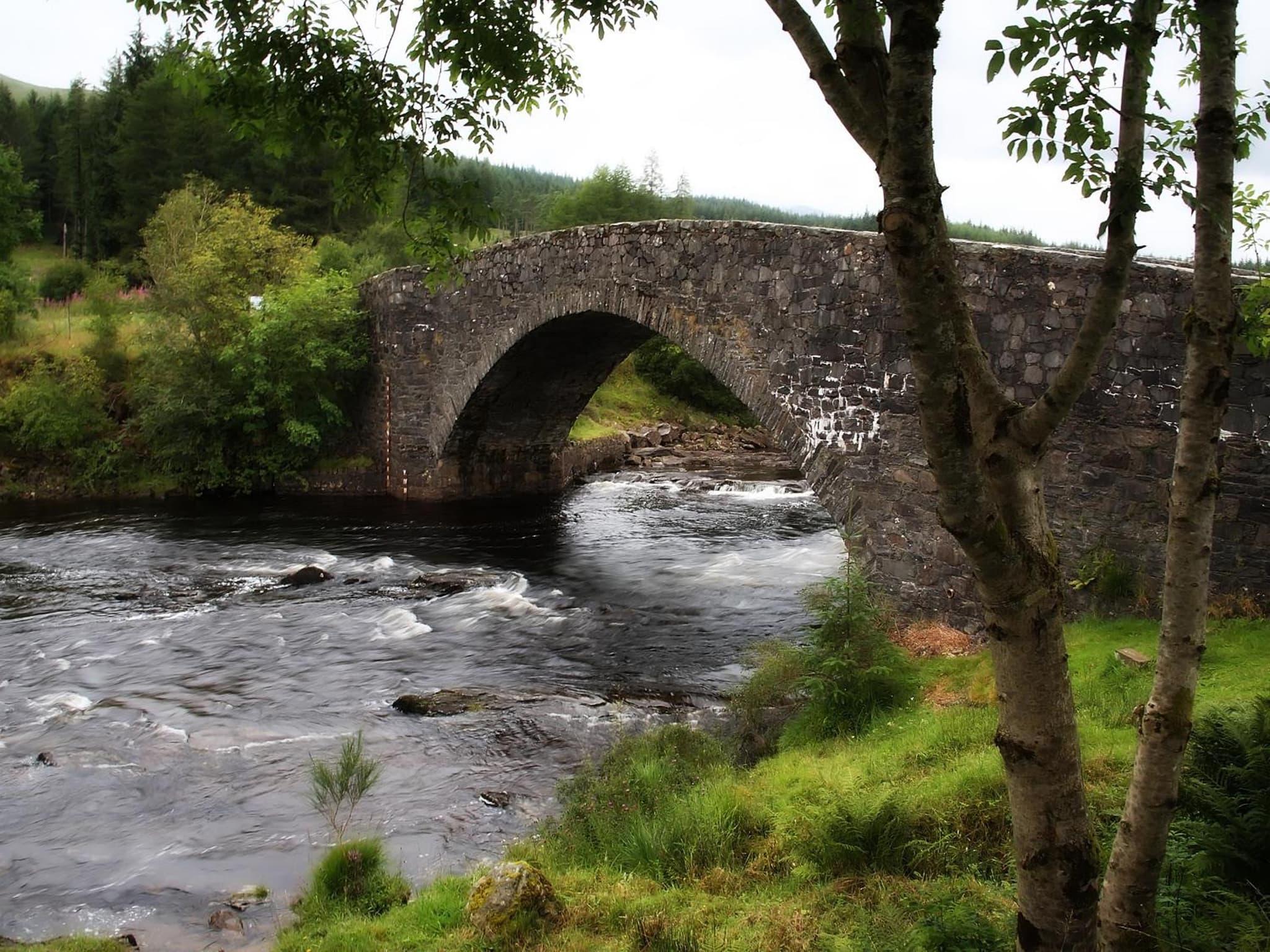 Bridge of Orchy Hotel photo 6