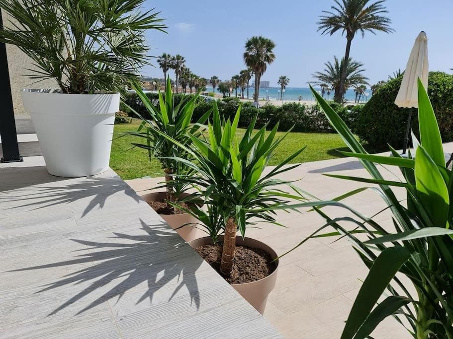Villa on the beach Playa Flamenca photo 4