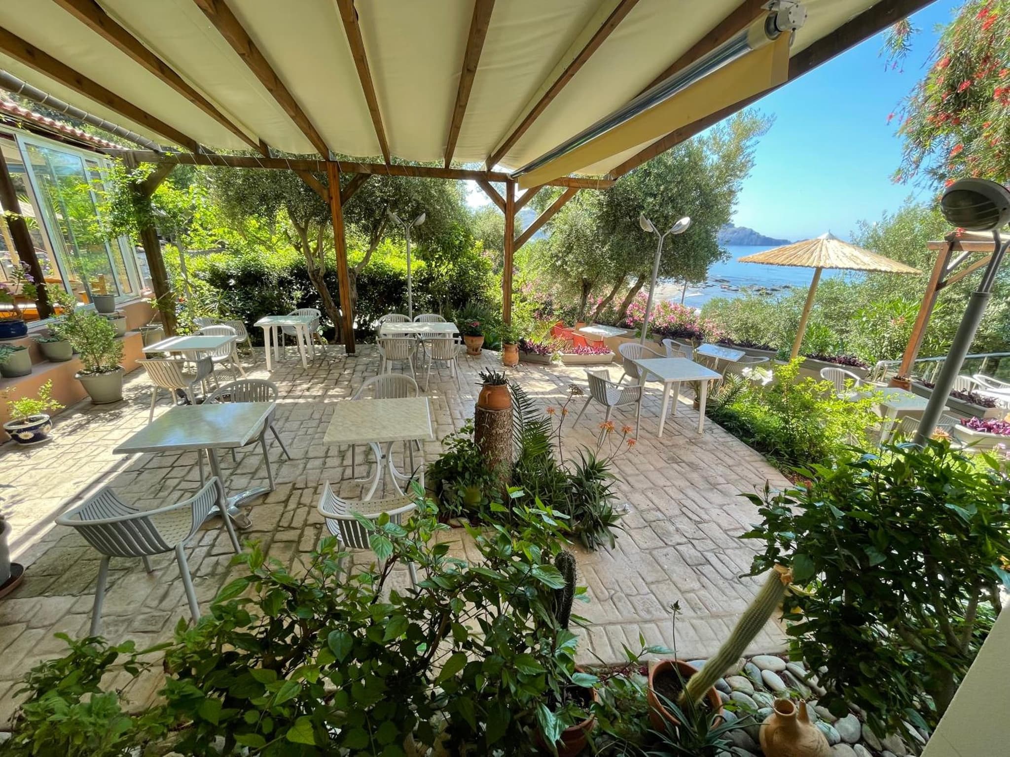 Horizon Beach Hotel photo 7