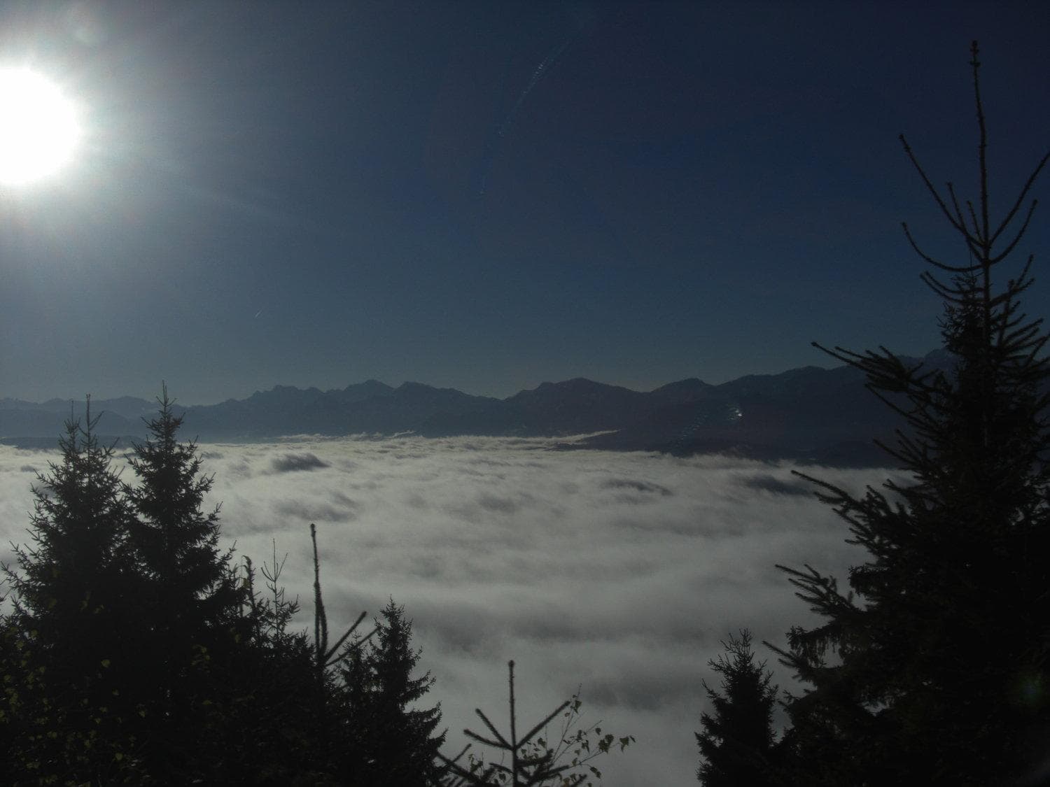 Gasthof Laggner photo 4