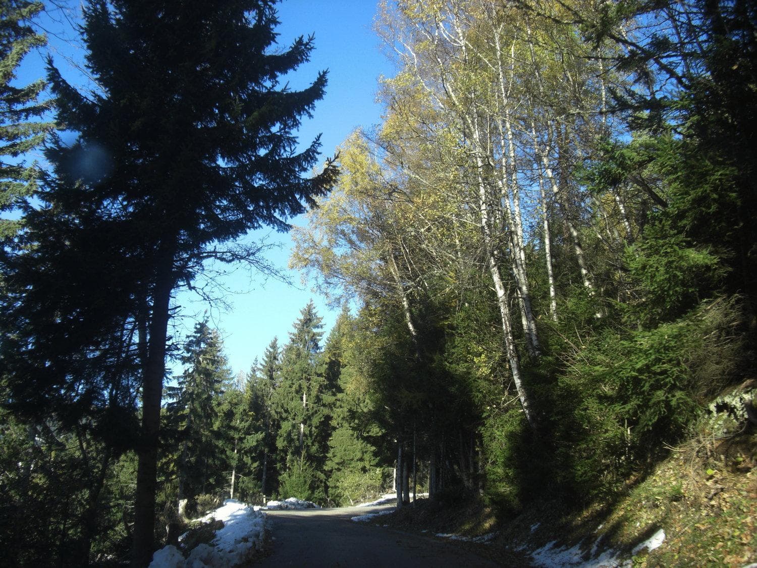 Gasthof Laggner photo 2