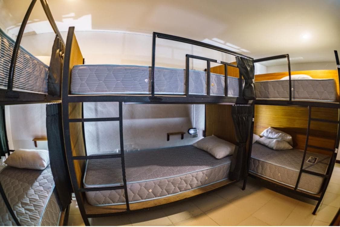 NITRO HOUSE Hostel photo 6