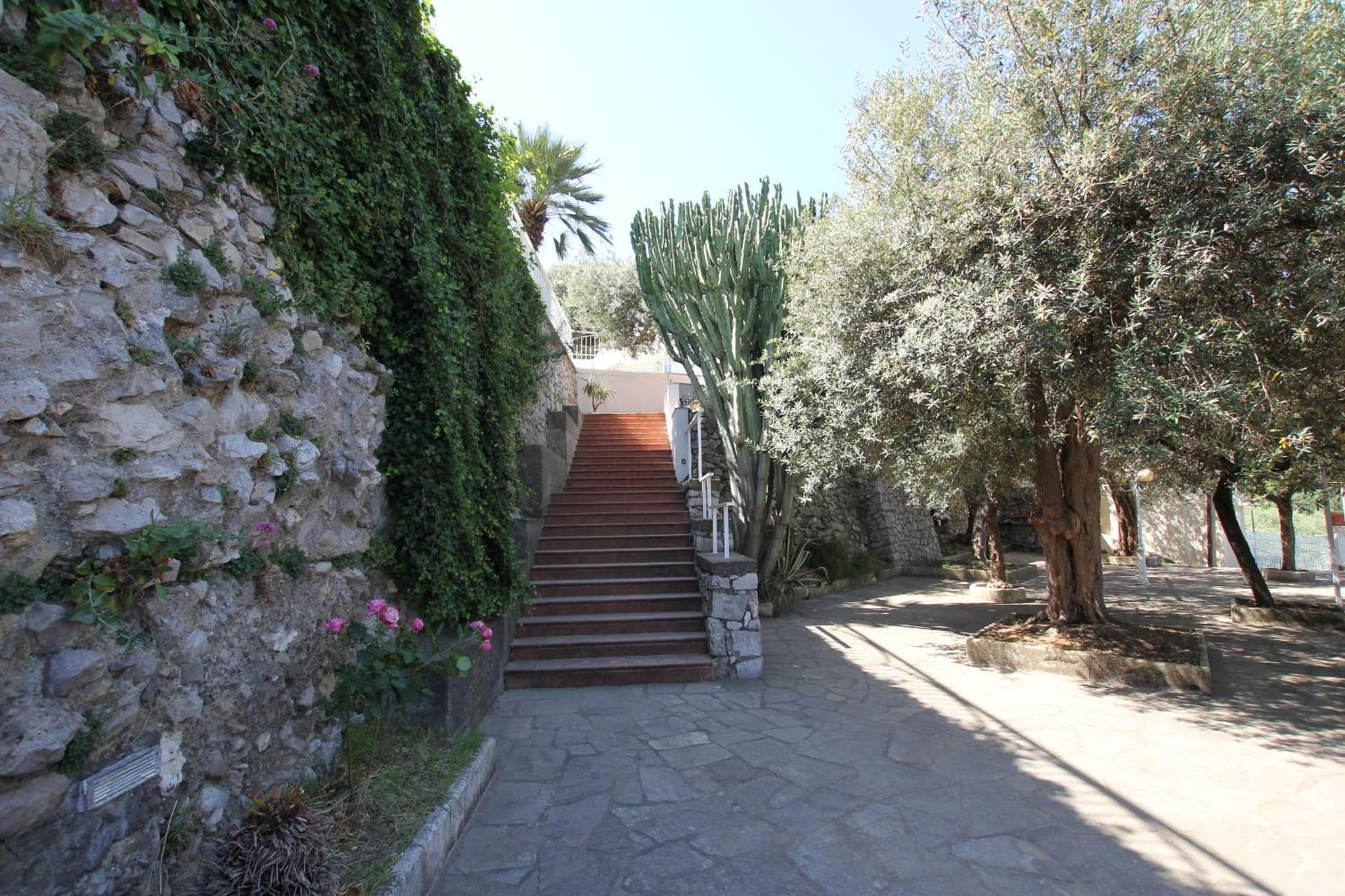 Hotel Lucia photo 3
