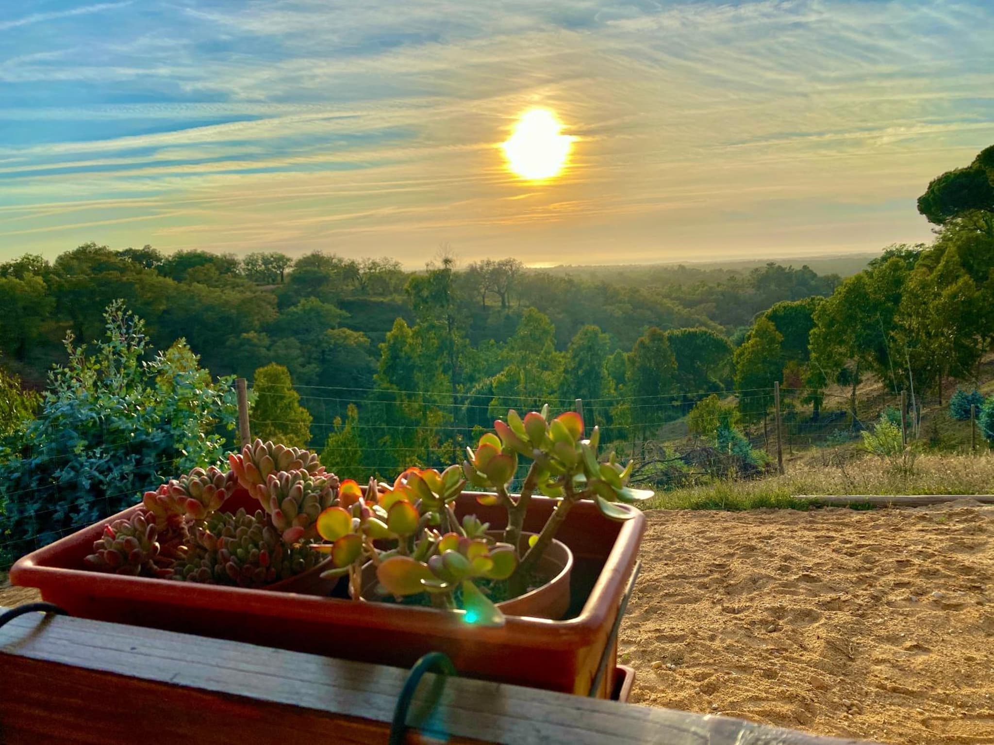 Montum Farm Living photo 3