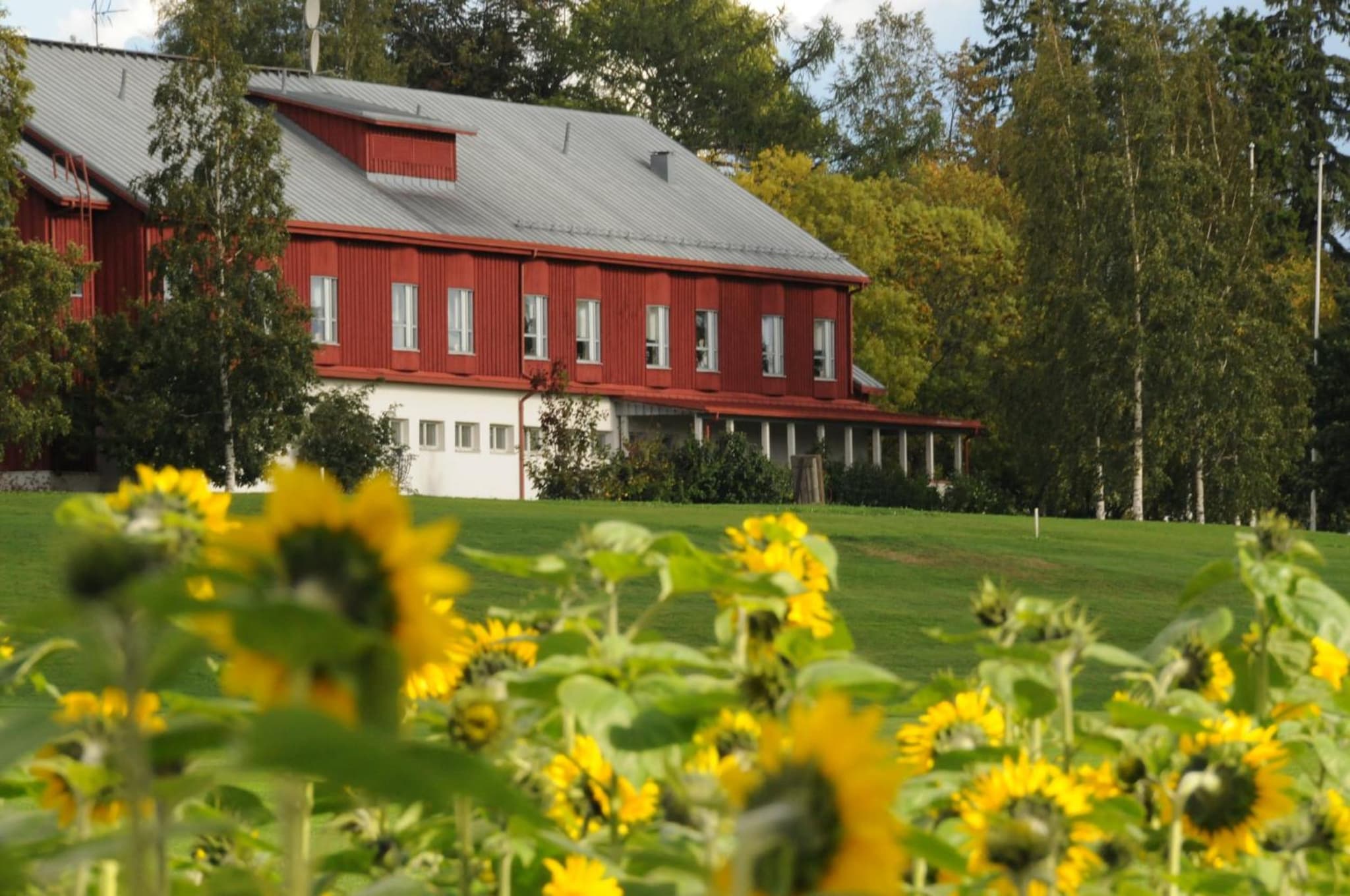 building