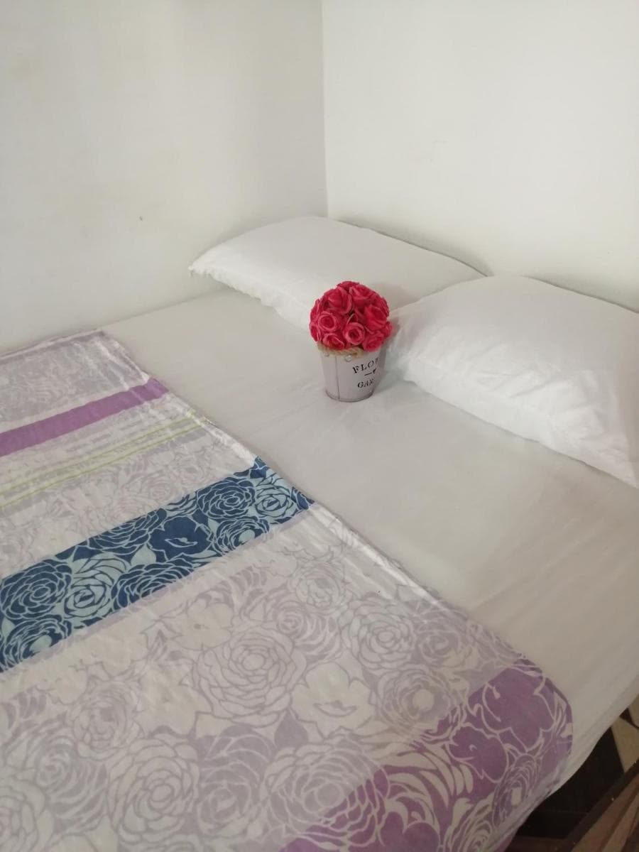 Hostal Buena Vida photo 4