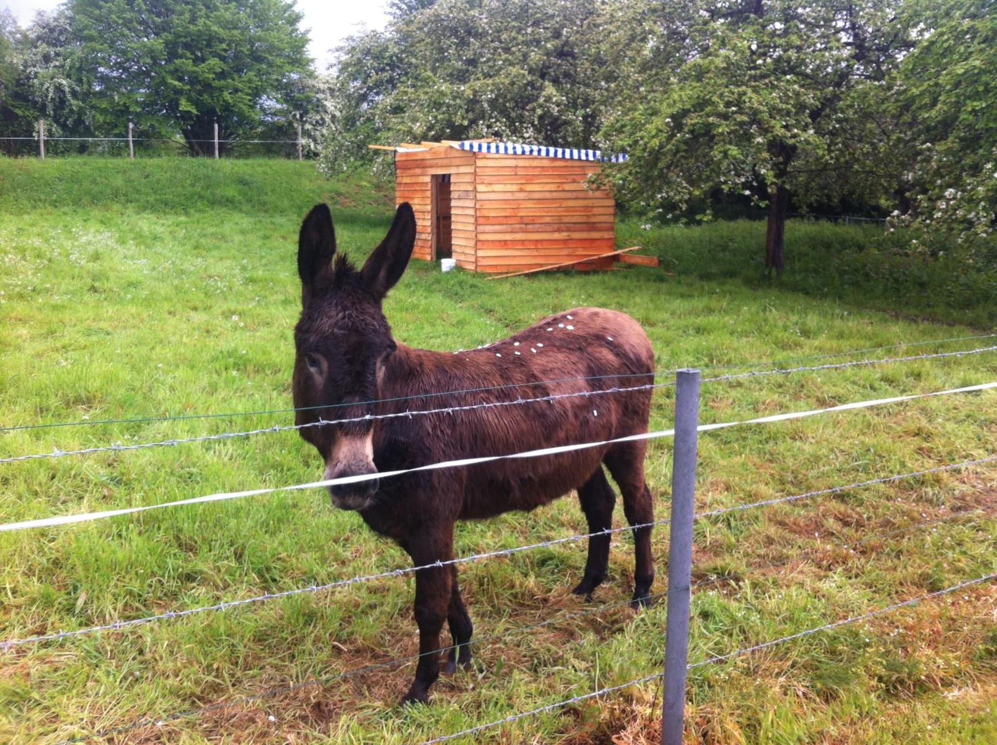La Ferme de Montaigu photo 3