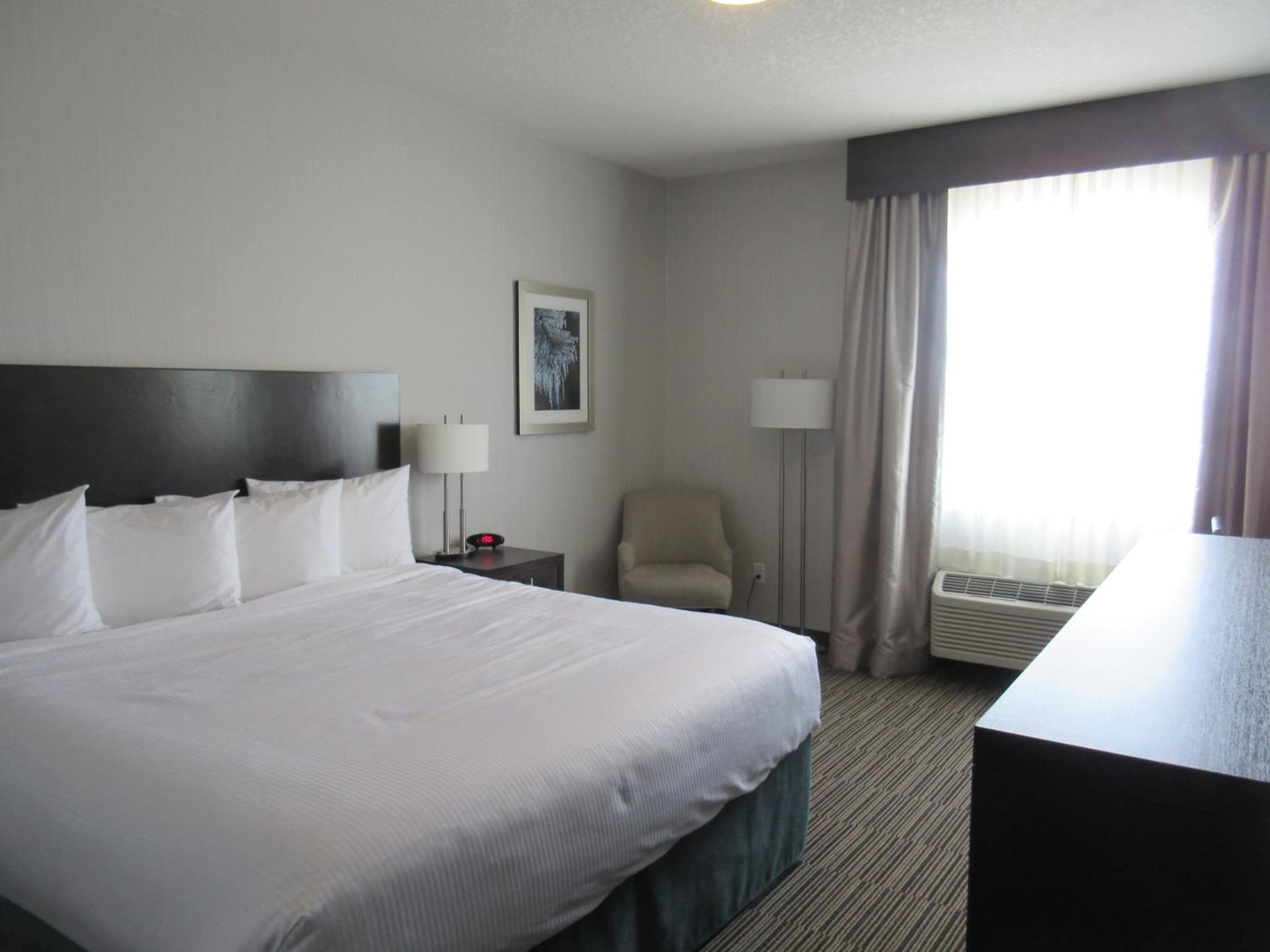 Best Western Plus Airdrie Gateway photo 2