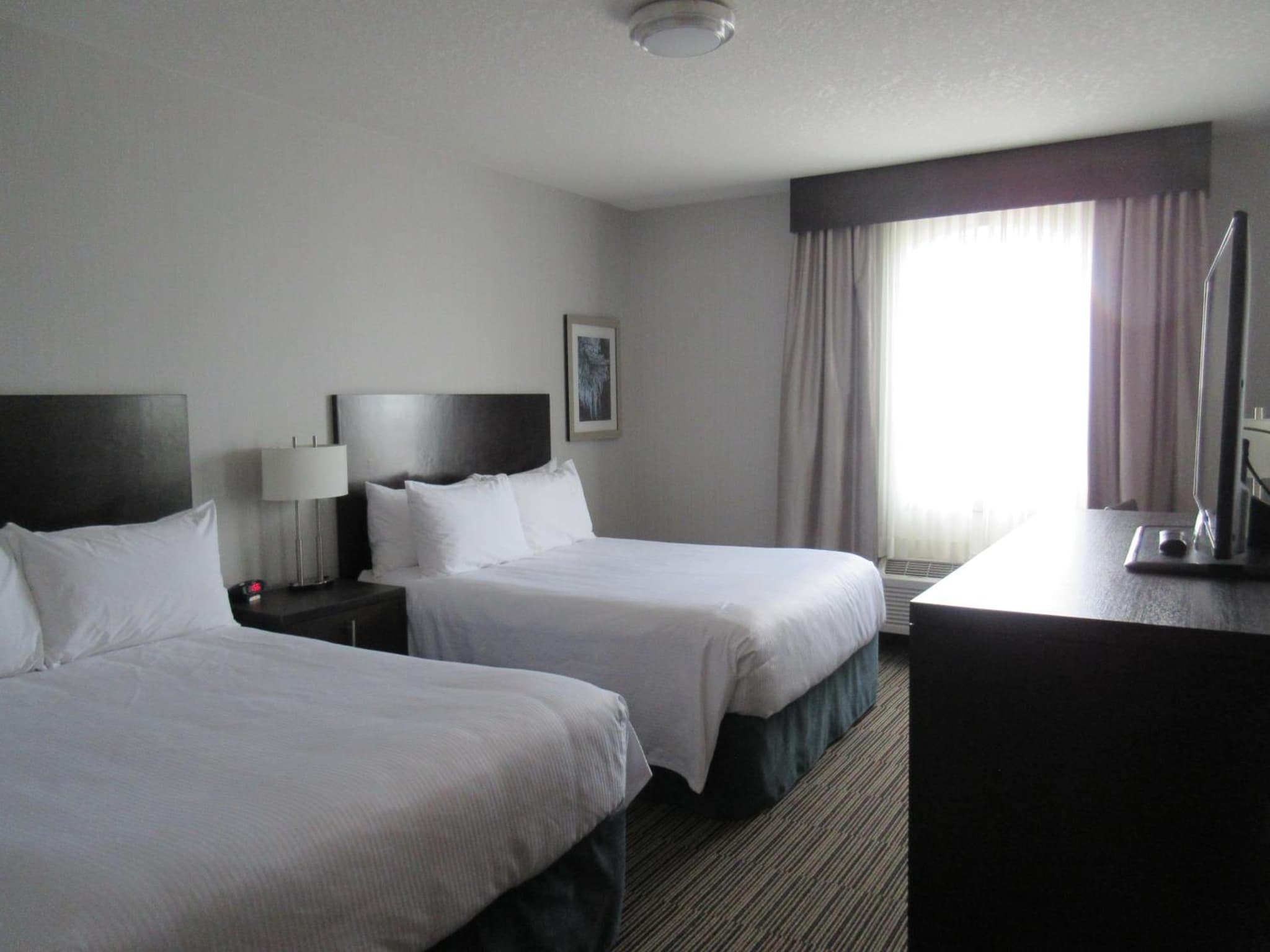 Best Western Plus Airdrie Gateway photo 7