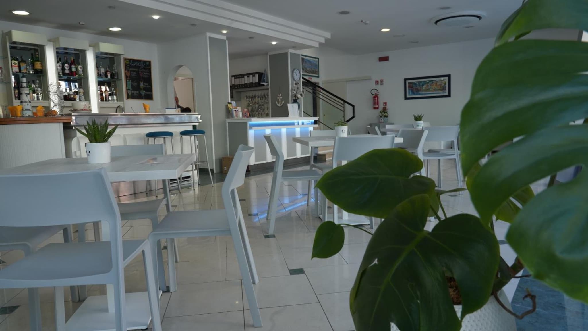 Lively Hotel photo 4