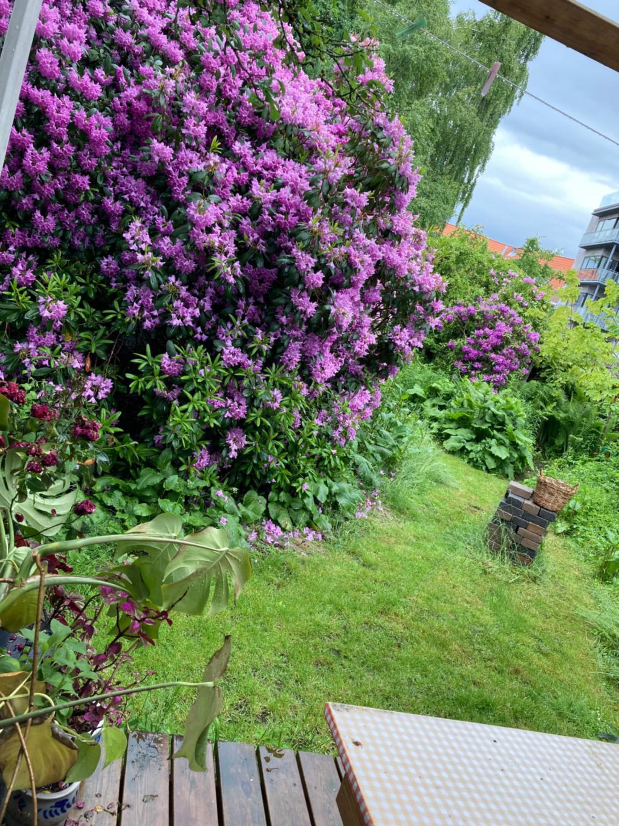 Sølyst photo 3