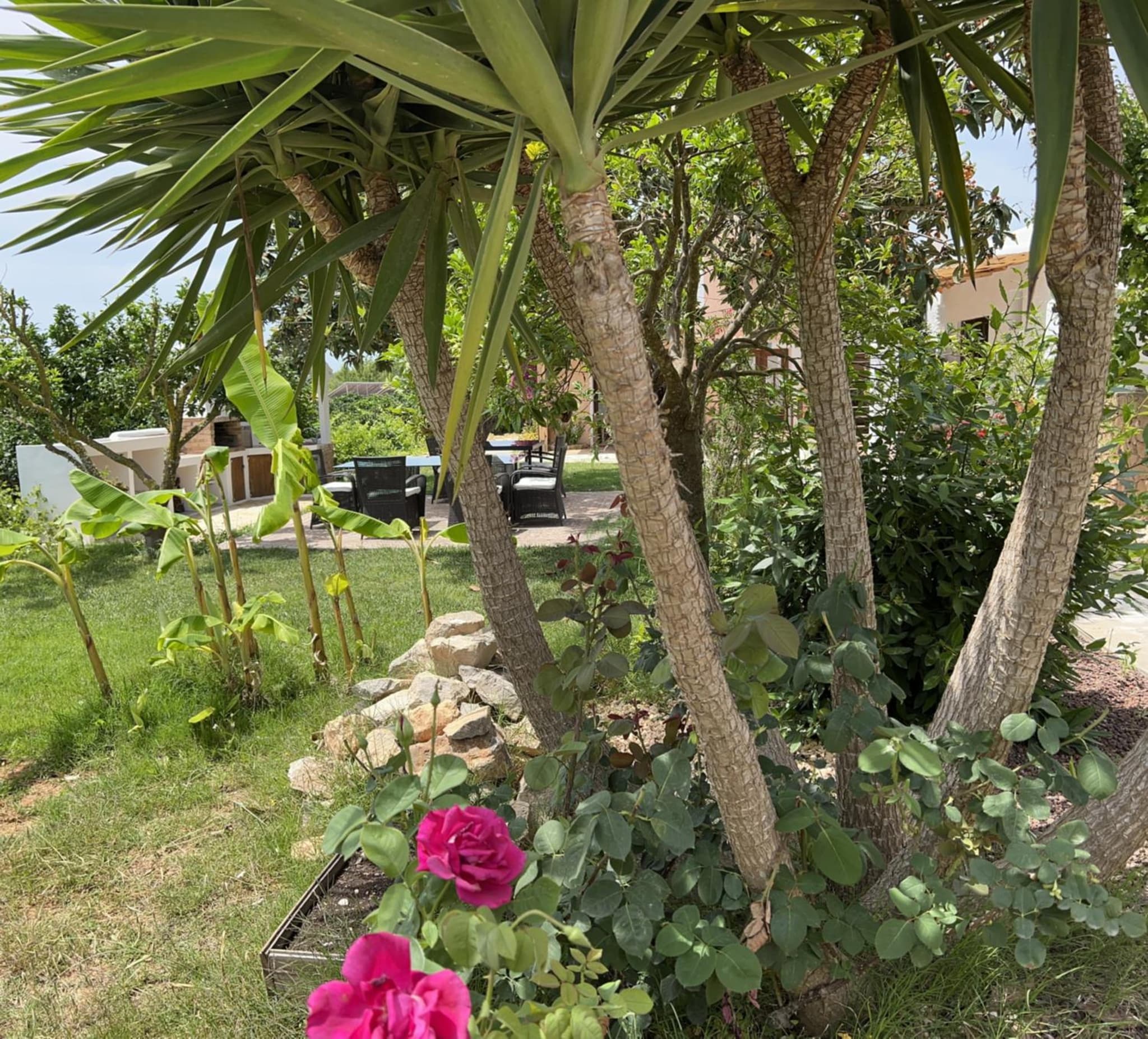 Finca Can Pepis photo 6