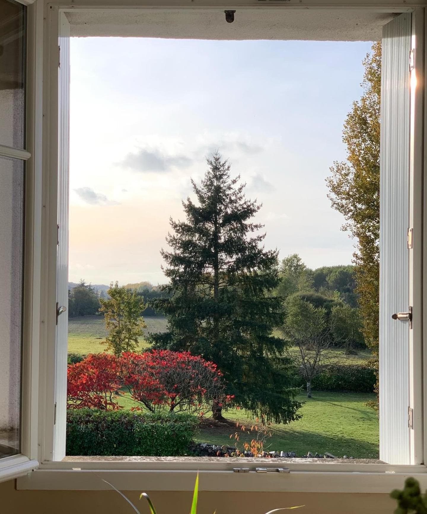 La Grenouillère - Chambre d'hôtes de charme photo 2