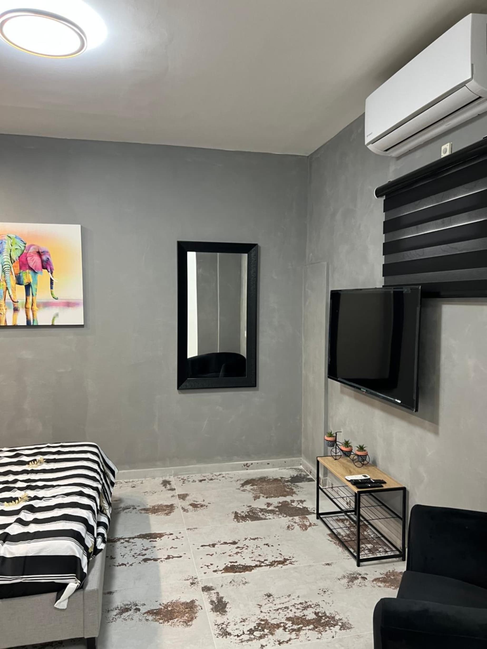 שחף ברוזמרין photo 3