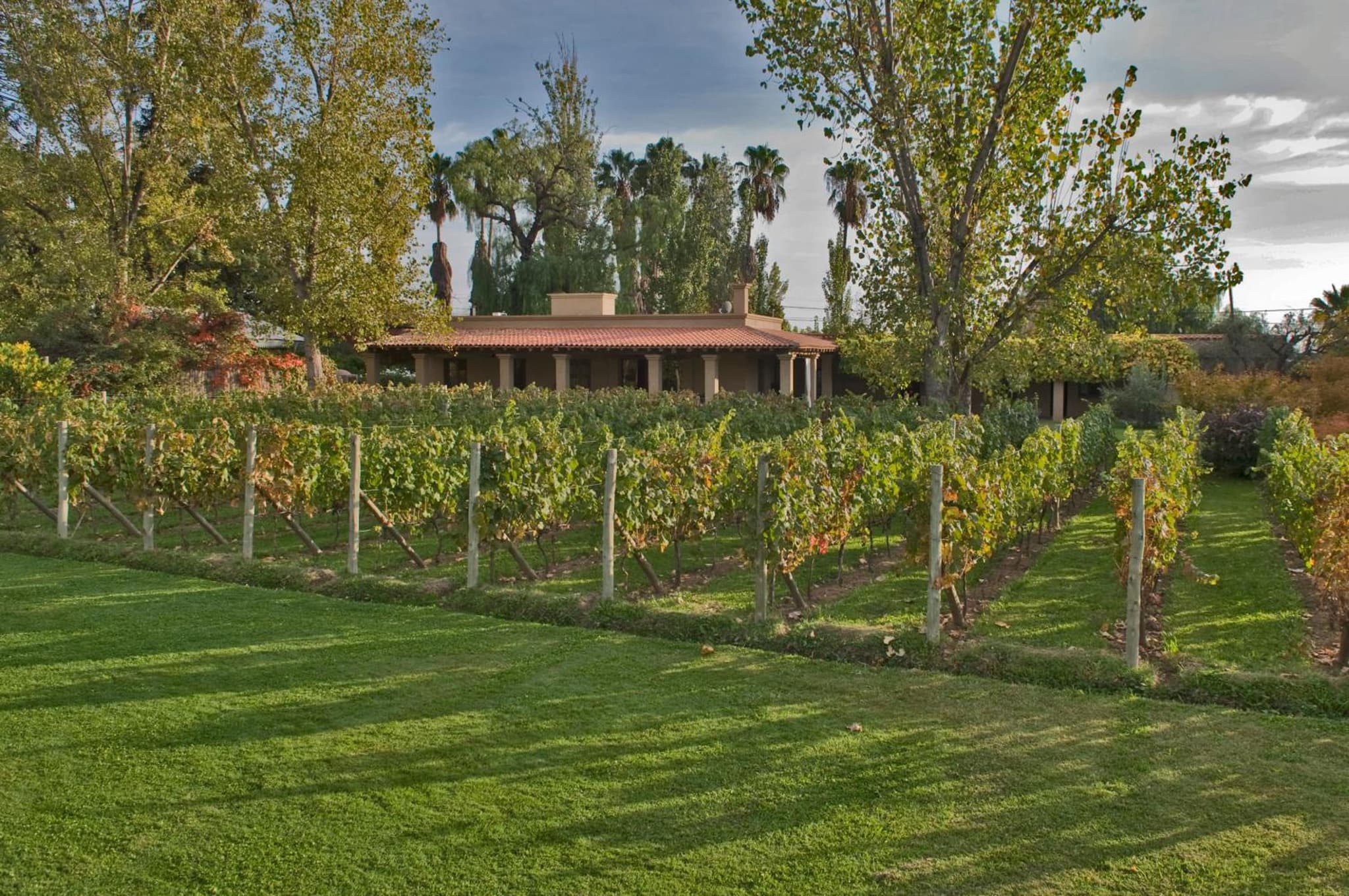 Finca Verde Oliva Wine & Olive Estate photo 8