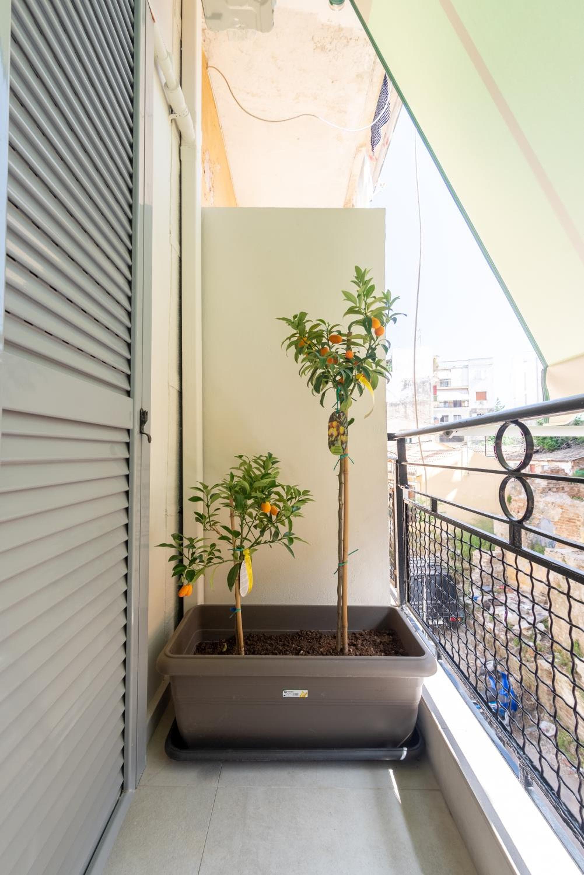 Agatha's Flat - Corfu Town central apartment photo 7